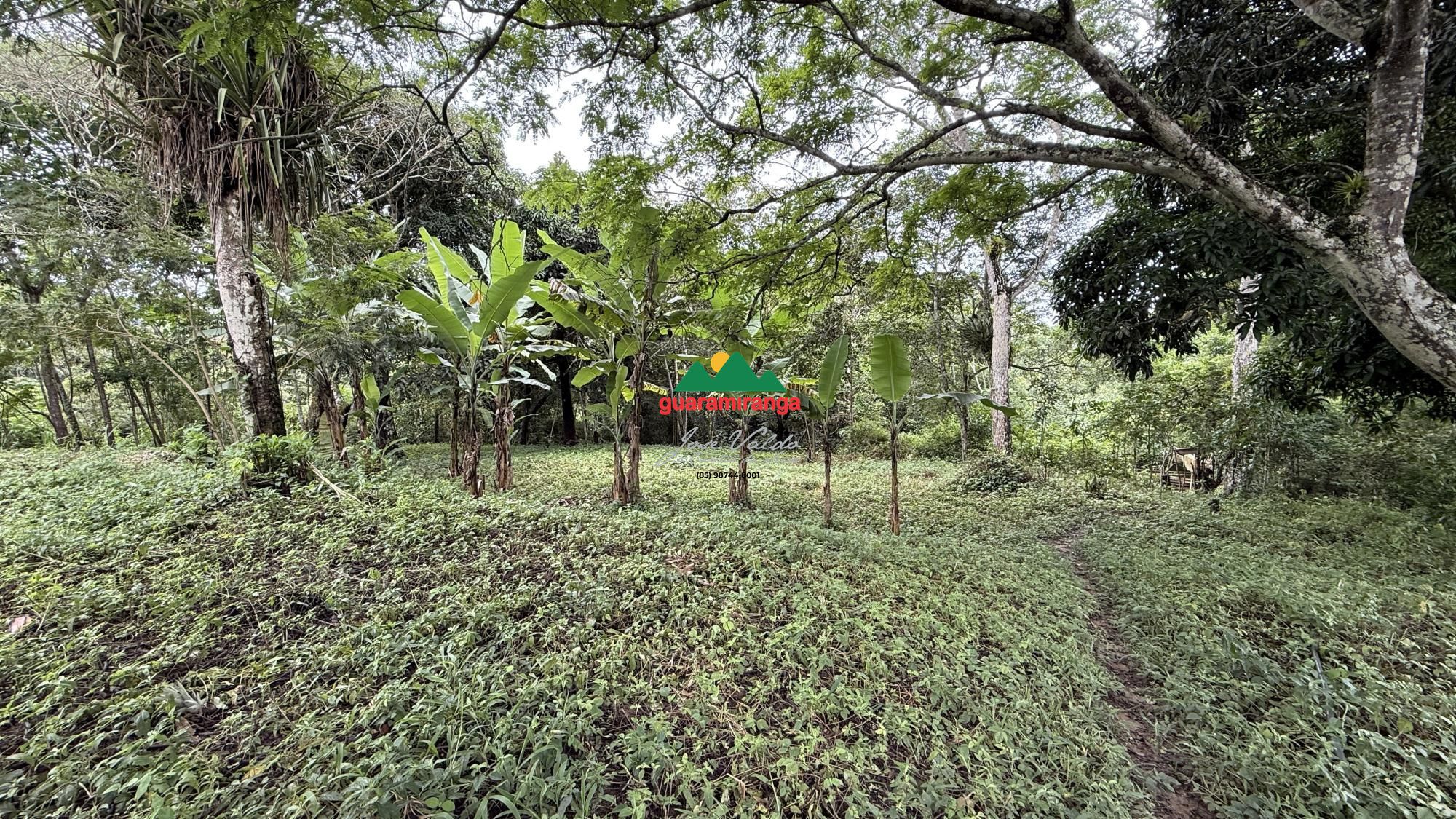 Terreno, 1 hectares - Foto 11