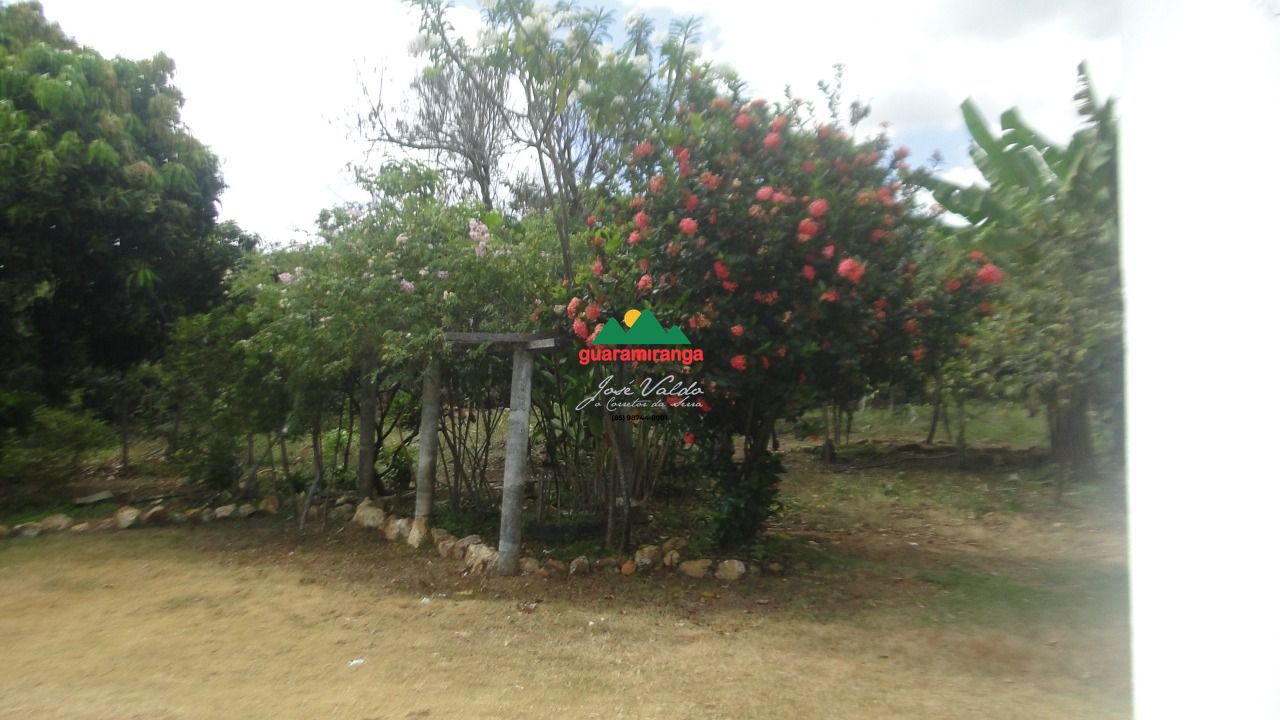 Sítio, 5 quartos, 10 hectares - Foto 22