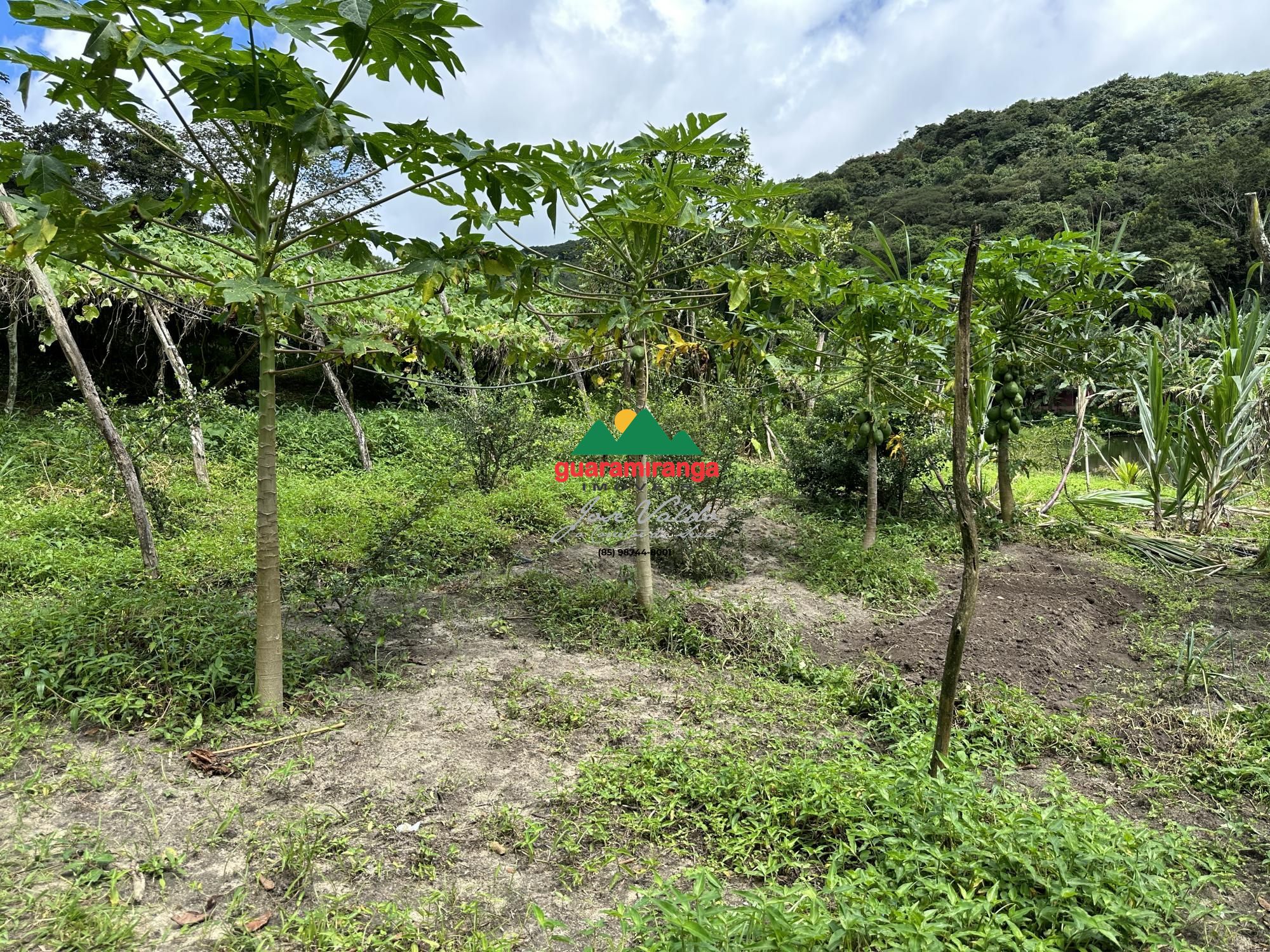 Sítio, 7 quartos, 31 hectares - Foto 13