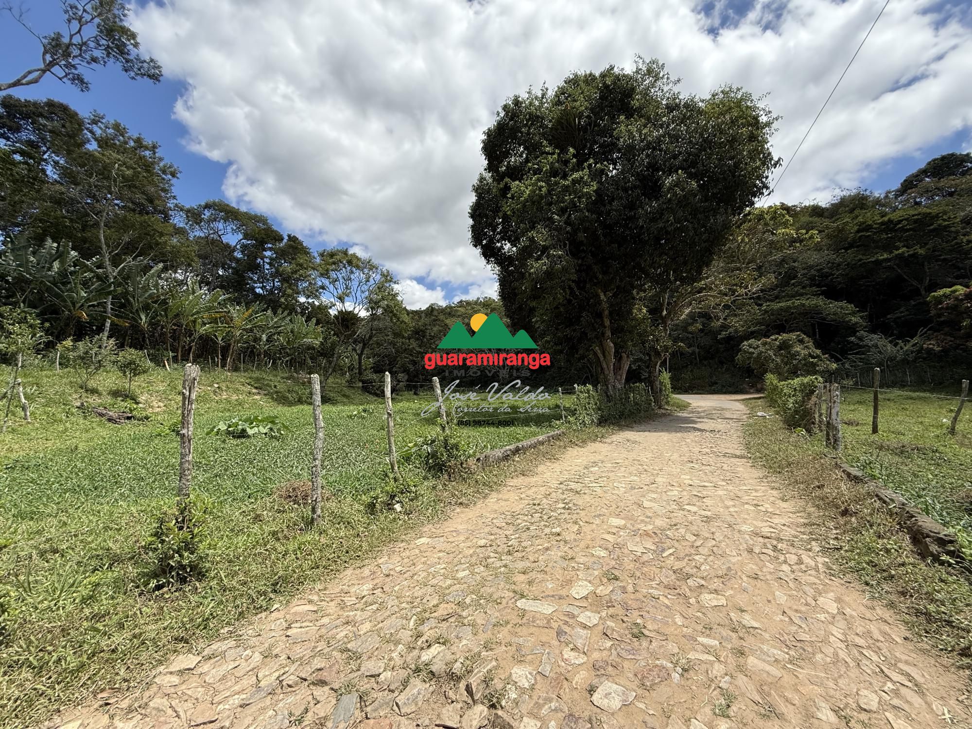 Sítio, 1 quarto, 6 hectares - Foto 17