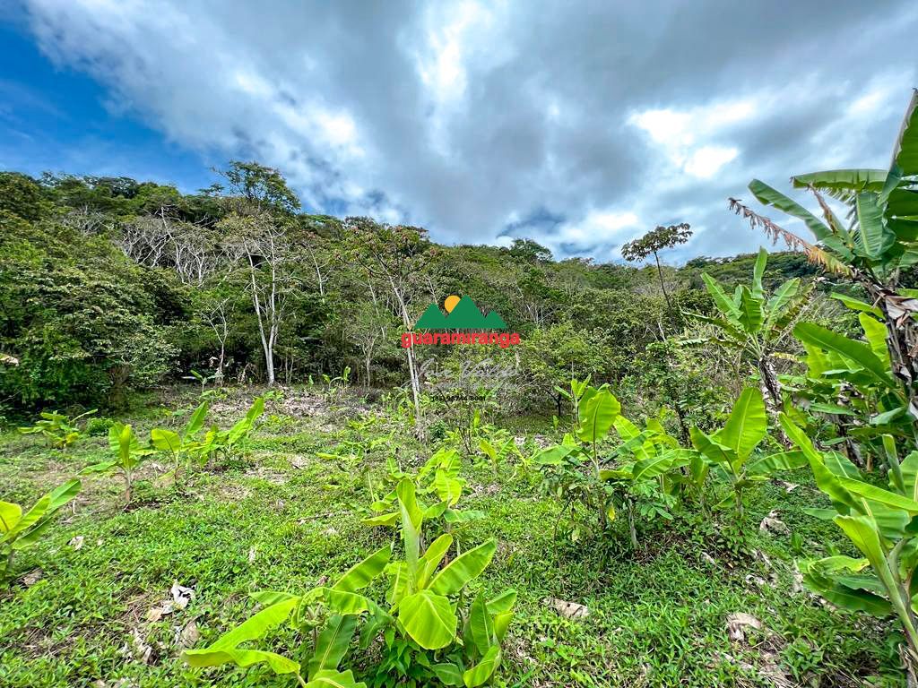 Sítio, 1 quarto, 39 hectares - Foto 13