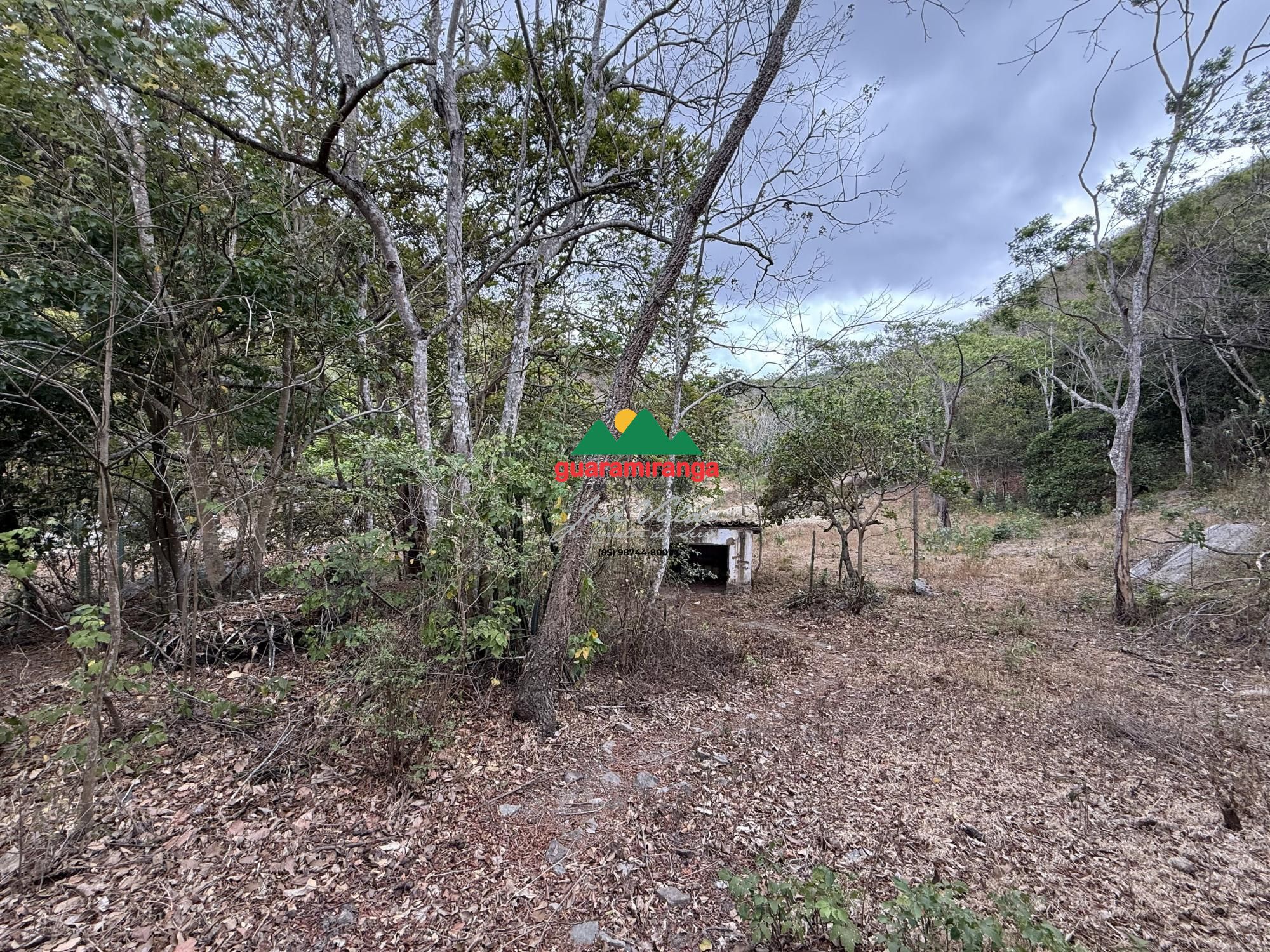 Chácara, 2 quartos, 7 hectares - Foto 6
