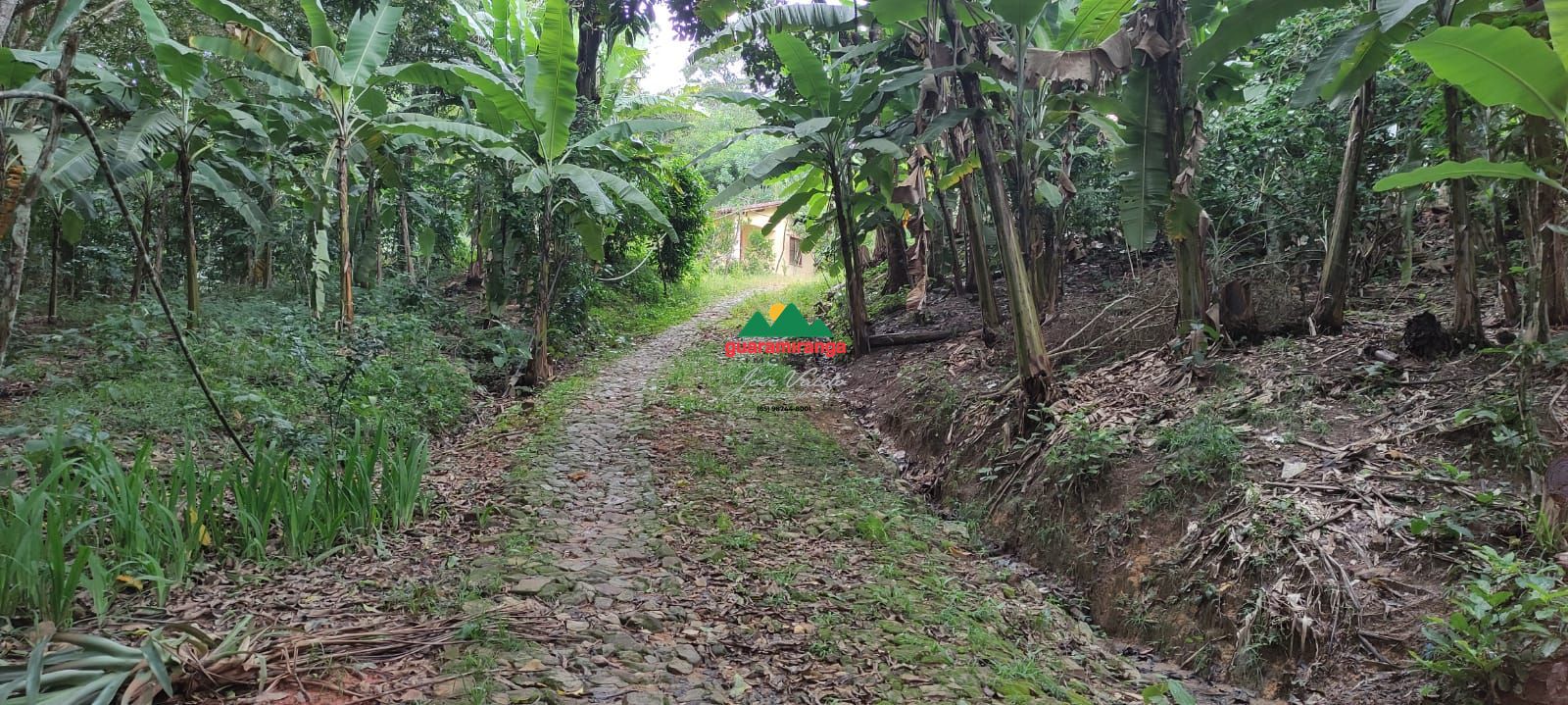 Sítio, 12 quartos, 60 hectares - Foto 11