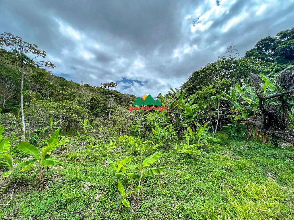 Sítio, 1 quarto, 39 hectares - Foto 14