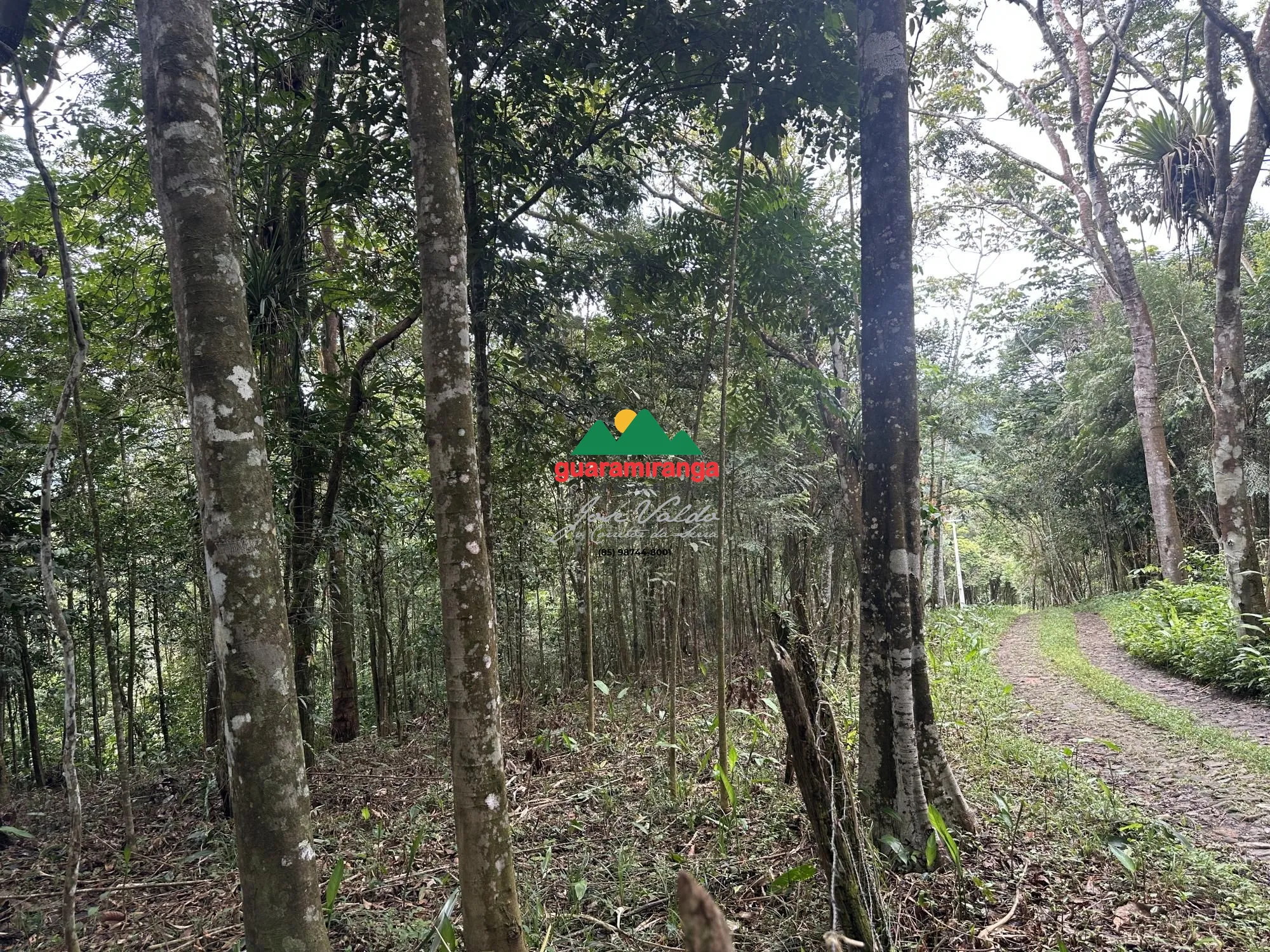 Terreno/Lote à venda  no Centro - Pacoti, CE. Imóveis