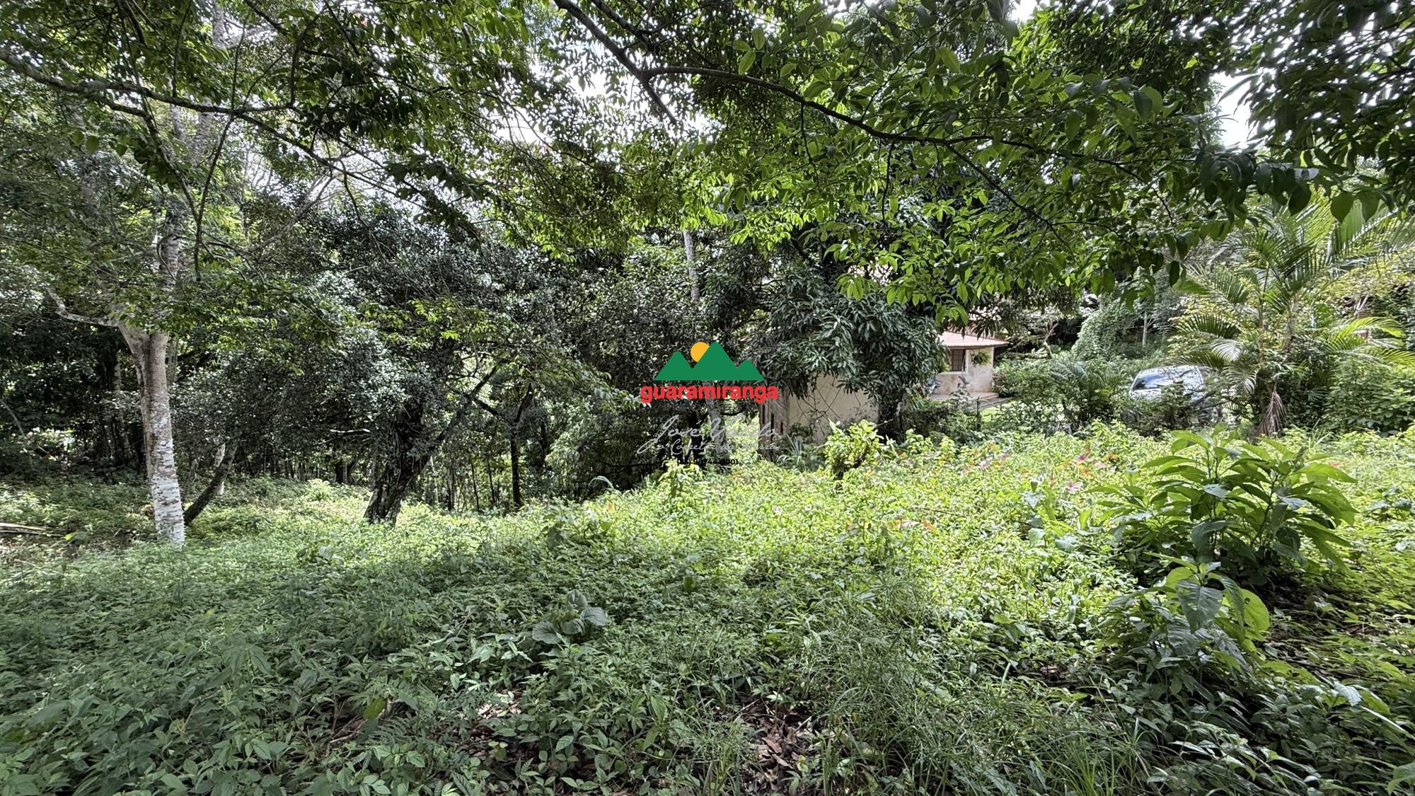 Terreno, 2500 m² - Foto 5