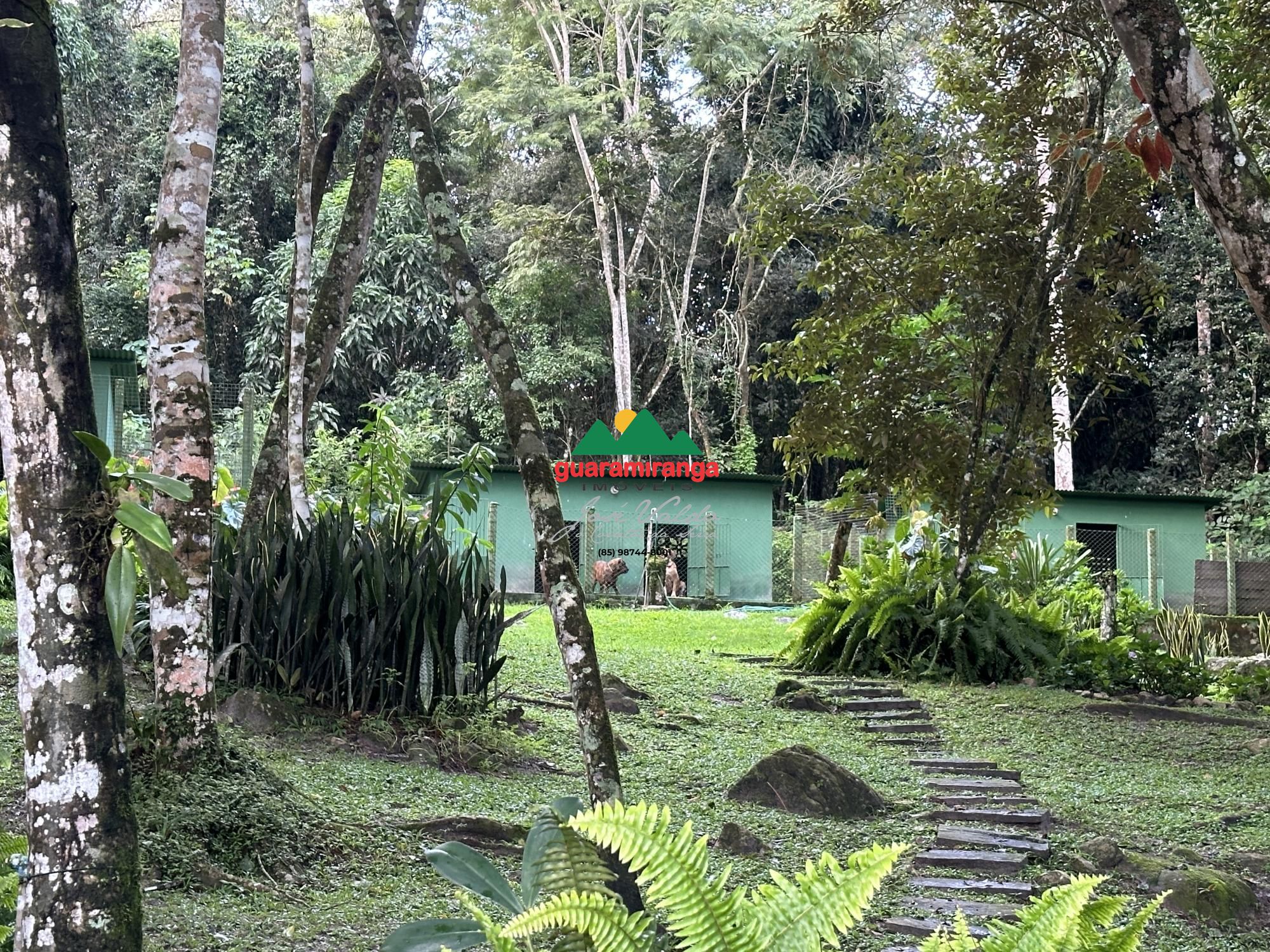 Sítio, 6 quartos, 3 hectares - Foto 67