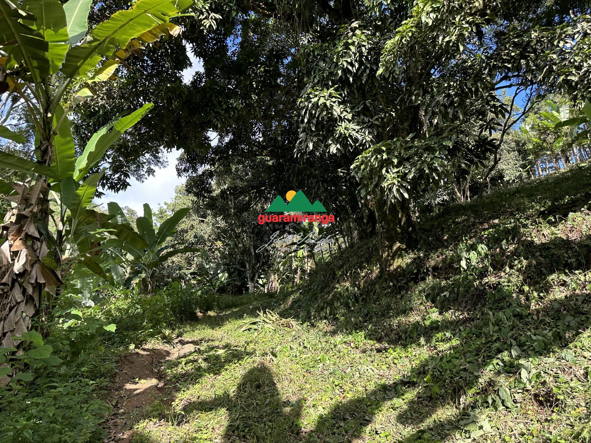 Sítio, 1 quarto, 26 hectares - Foto 13