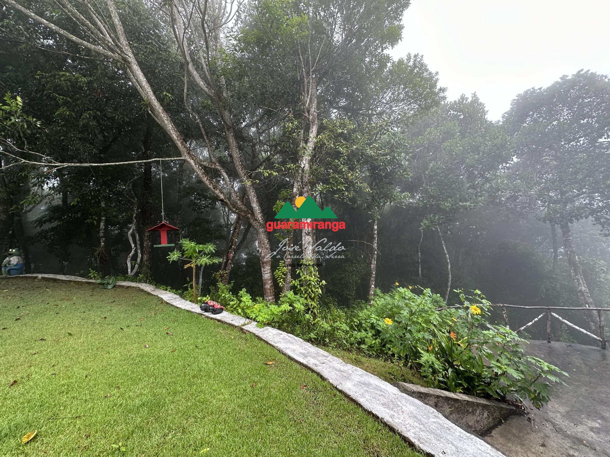 Chácara, 4 quartos, 8 hectares - Foto 12