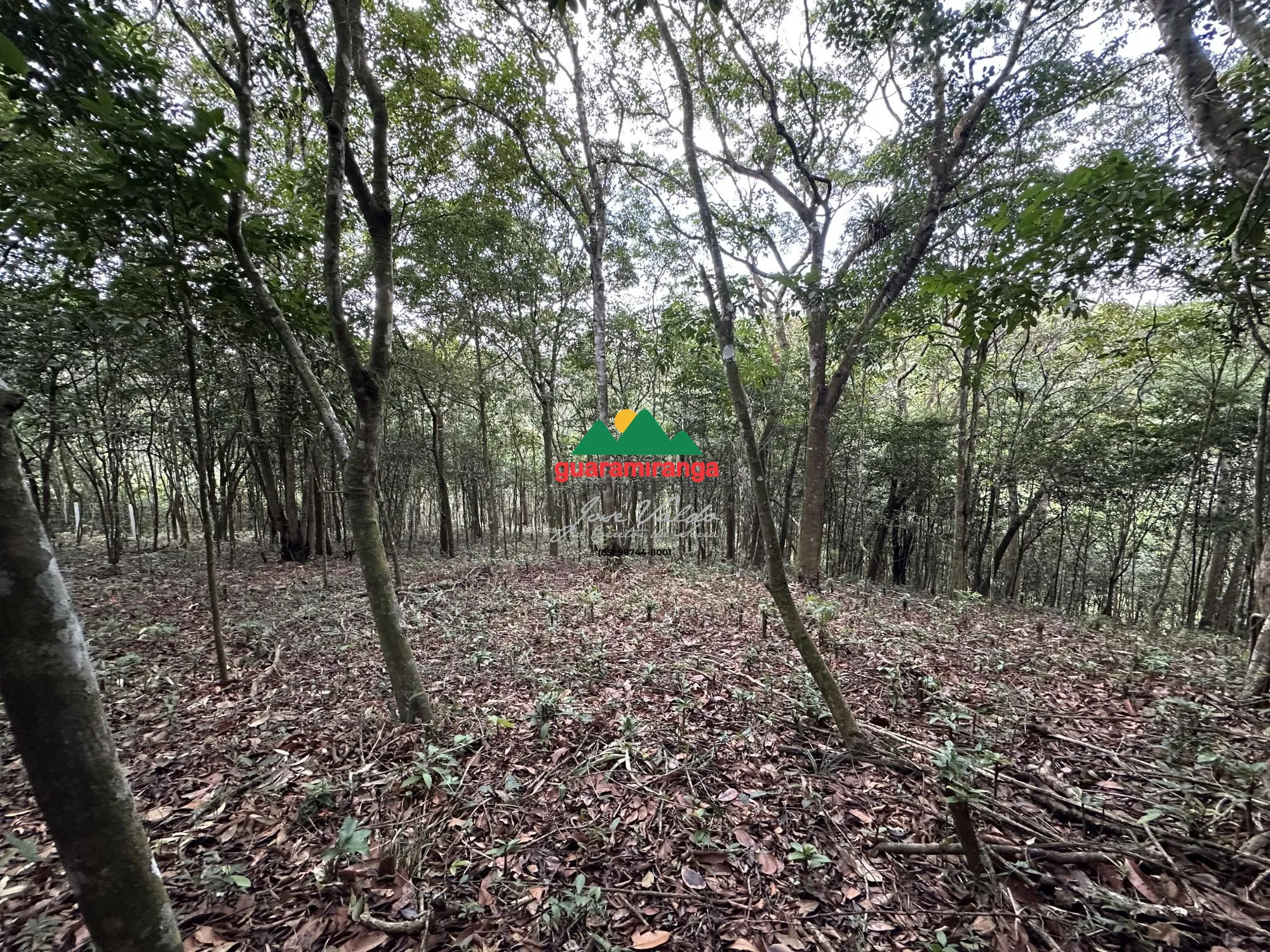 Terreno/Lote à venda  no Zona Rural - Mulungu, CE. Imóveis