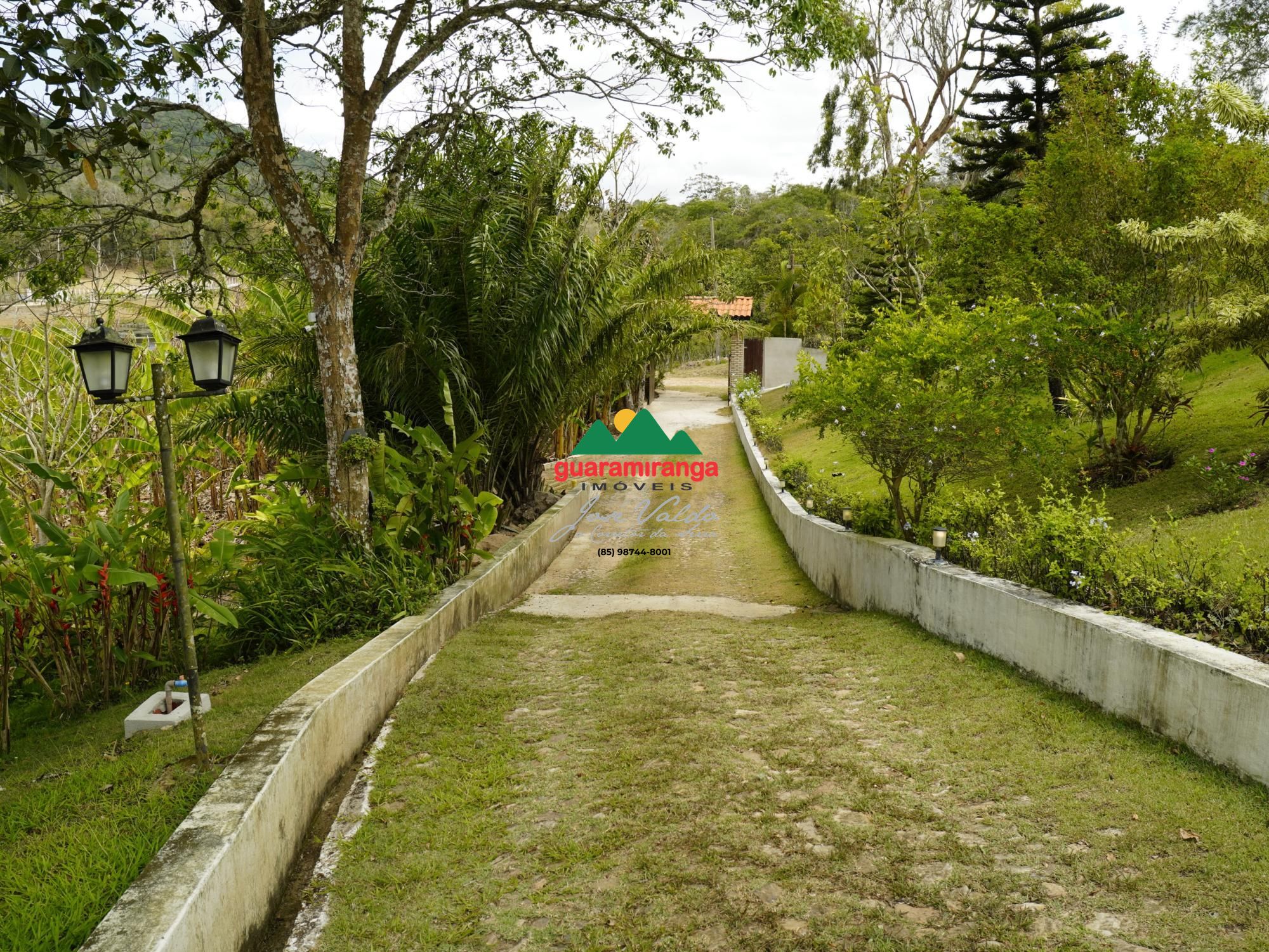 Casa, 4 quartos, 515 m² - Foto 6