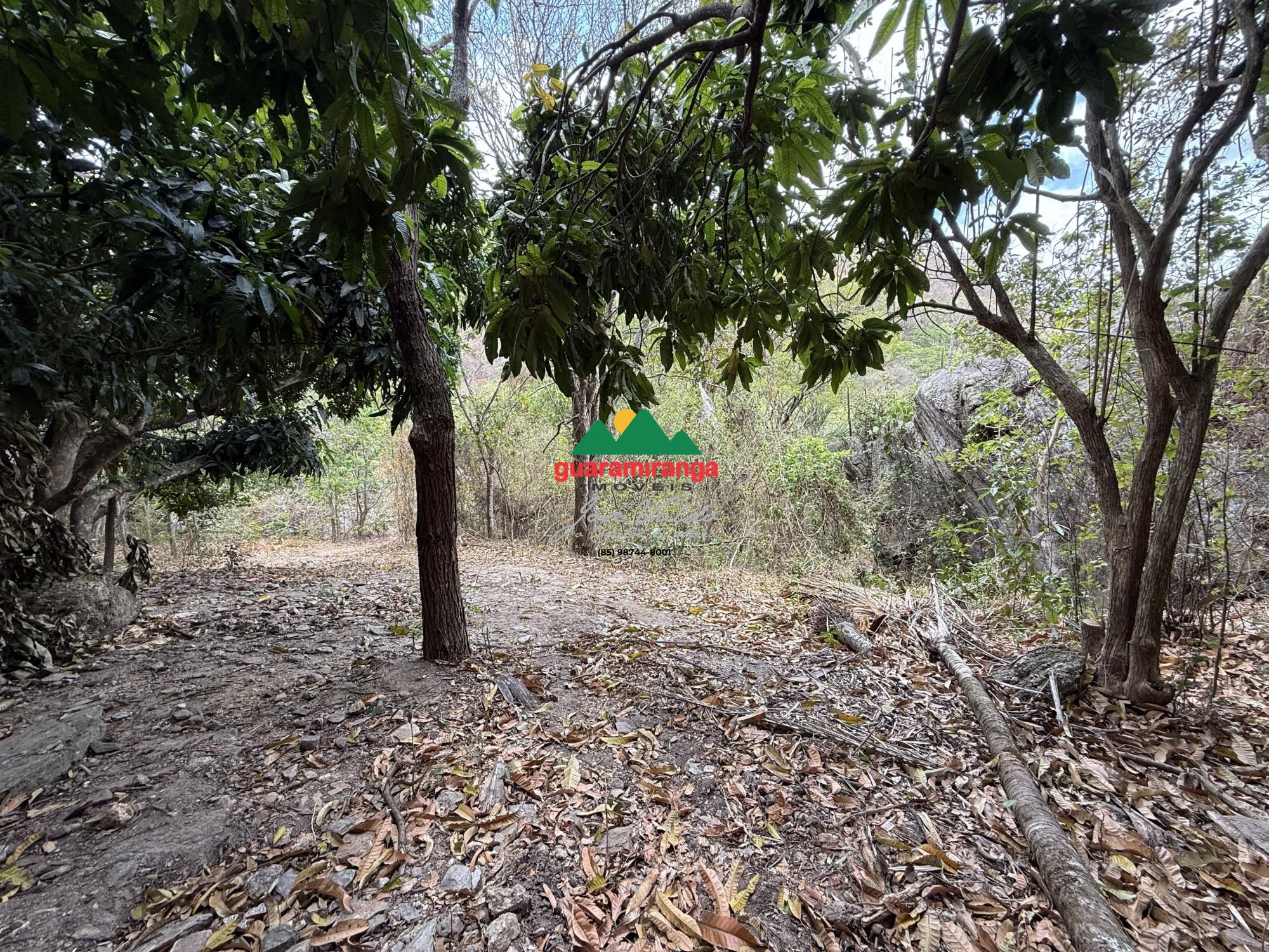 Chácara, 2 quartos, 7 hectares - Foto 12