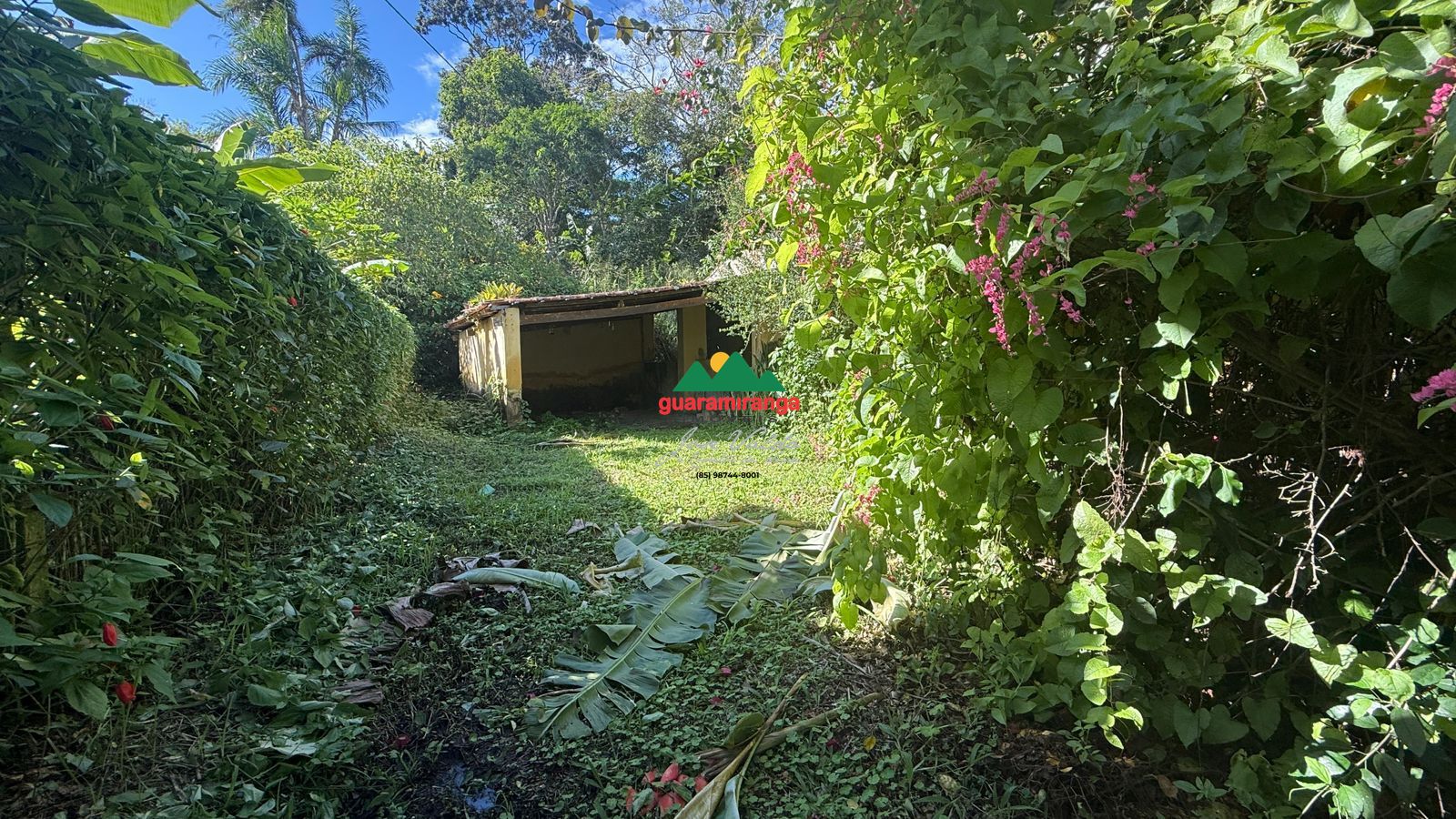 Casa, 3 quartos, 250 m² - Foto 2