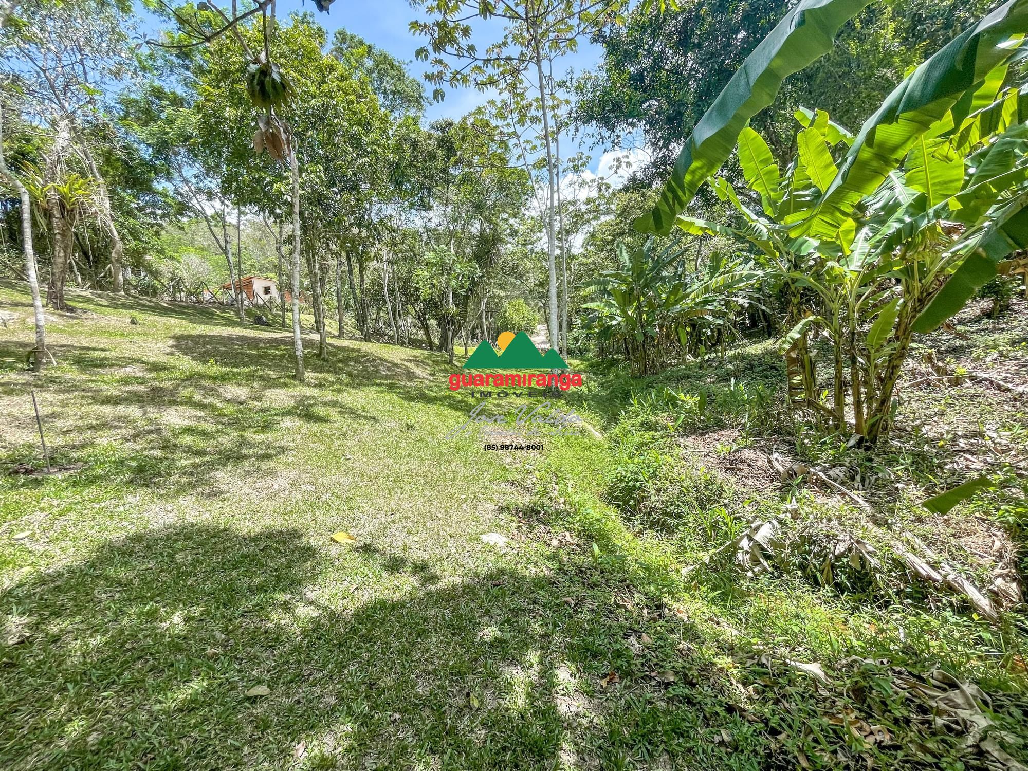 Sítio, 1 quarto, 4 hectares - Foto 29
