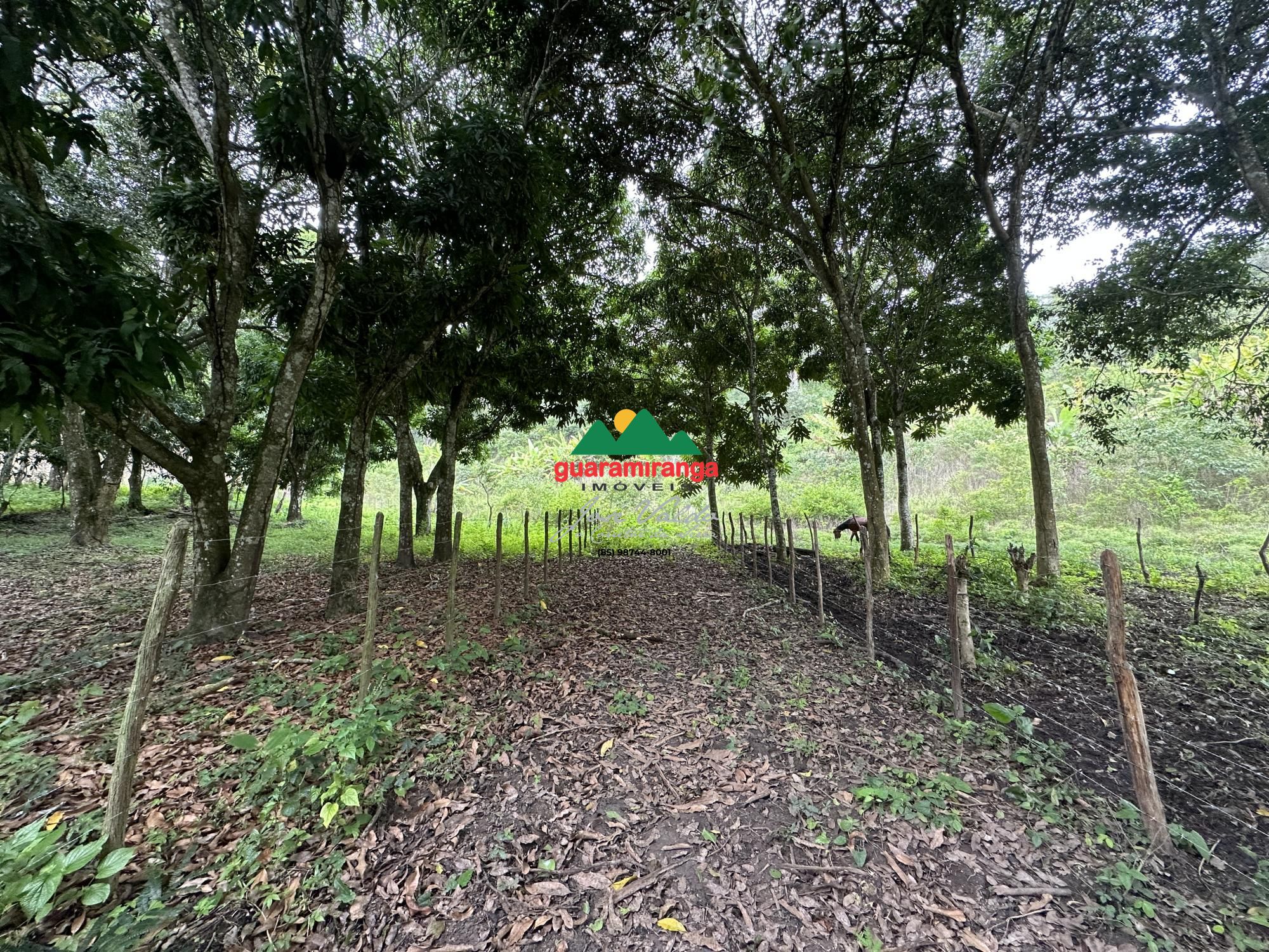Terreno, 2204 m² - Foto 11