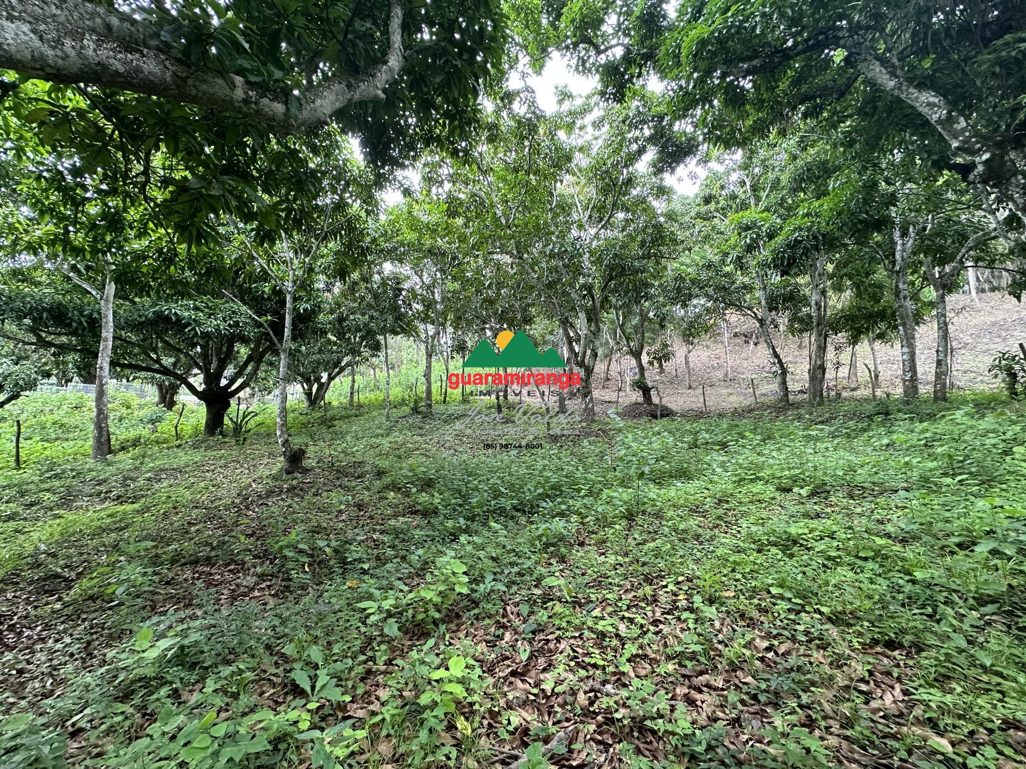 Terreno, 2204 m² - Foto 2