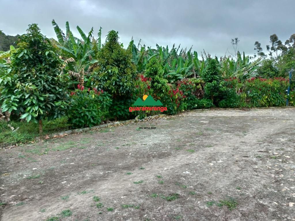 Sítio, 5 quartos, 4 hectares - Foto 38