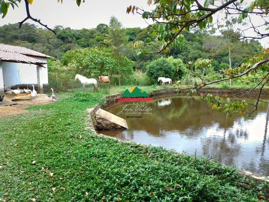 Sítio, 5 quartos, 4 hectares - Foto 11