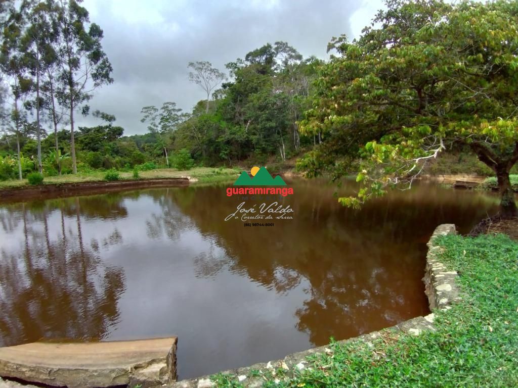Sítio, 5 quartos, 4 hectares - Foto 18