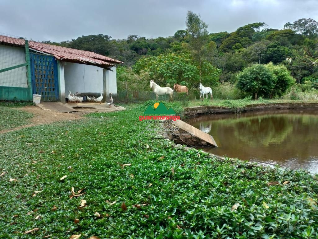 Sítio, 5 quartos, 4 hectares - Foto 21