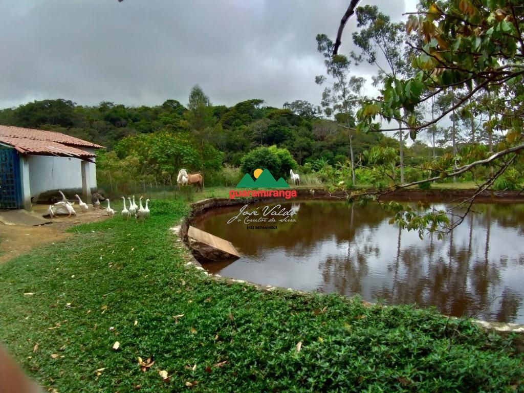 Sítio, 5 quartos, 4 hectares - Foto 23