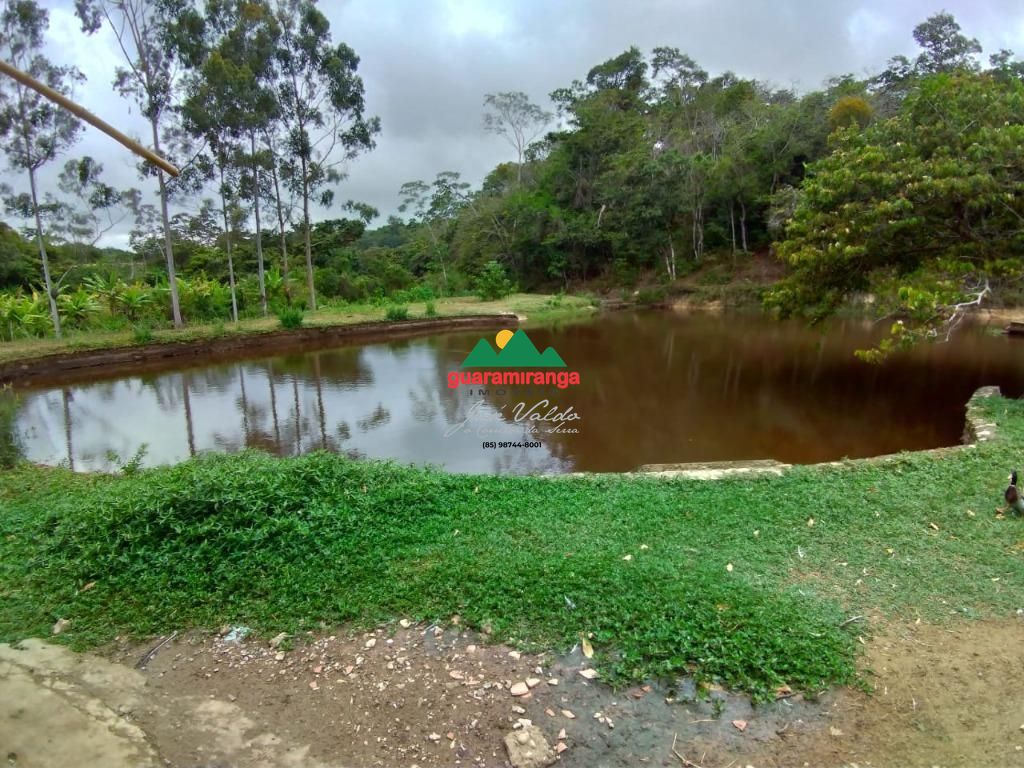 Sítio, 5 quartos, 4 hectares - Foto 28