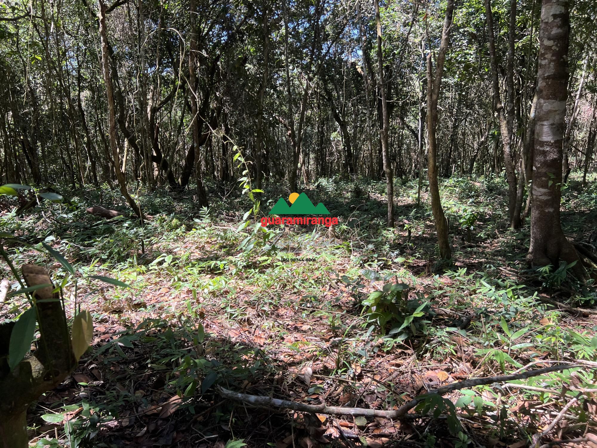 Terreno, 1200 m² - Foto 4
