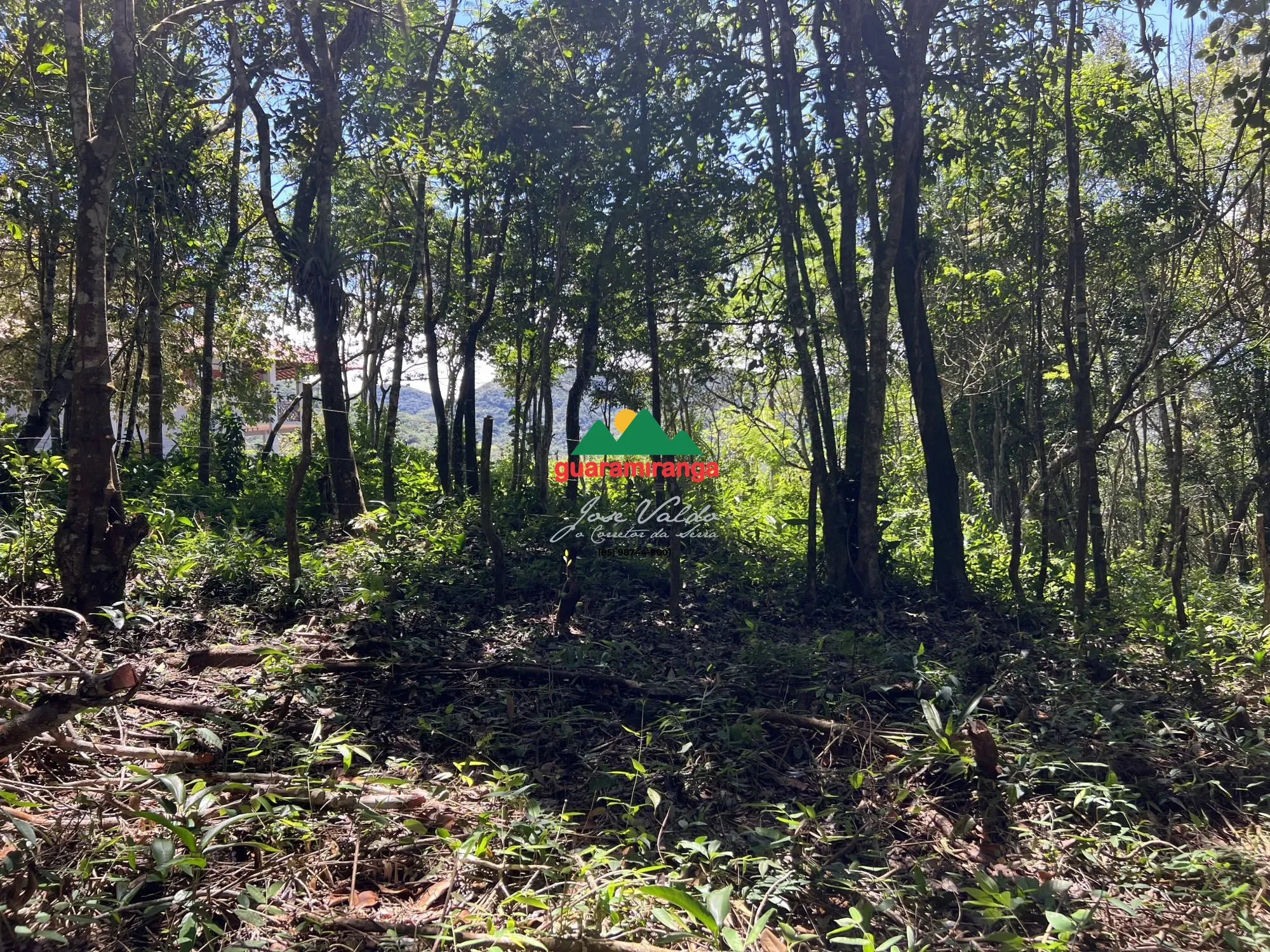 Terreno/Lote à venda  no Zona Rural - Mulungu, CE. Imóveis