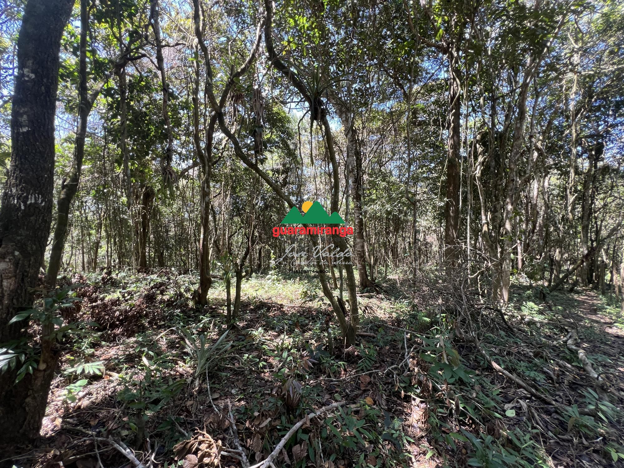 Terreno, 1200 m² - Foto 6