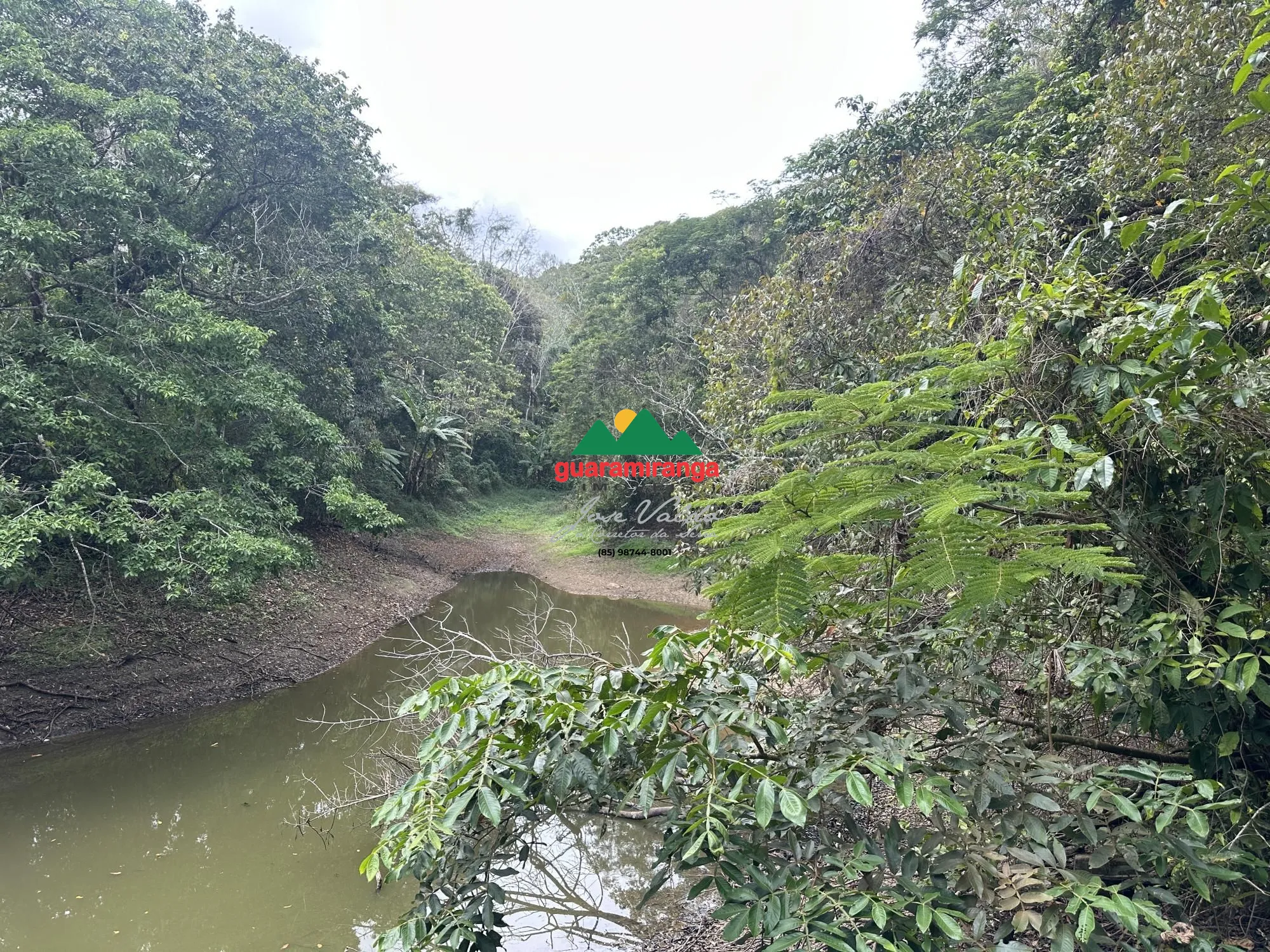 Fazenda/sítio/chácara/haras à venda  no Santa Ana - Pacoti, CE. Imóveis