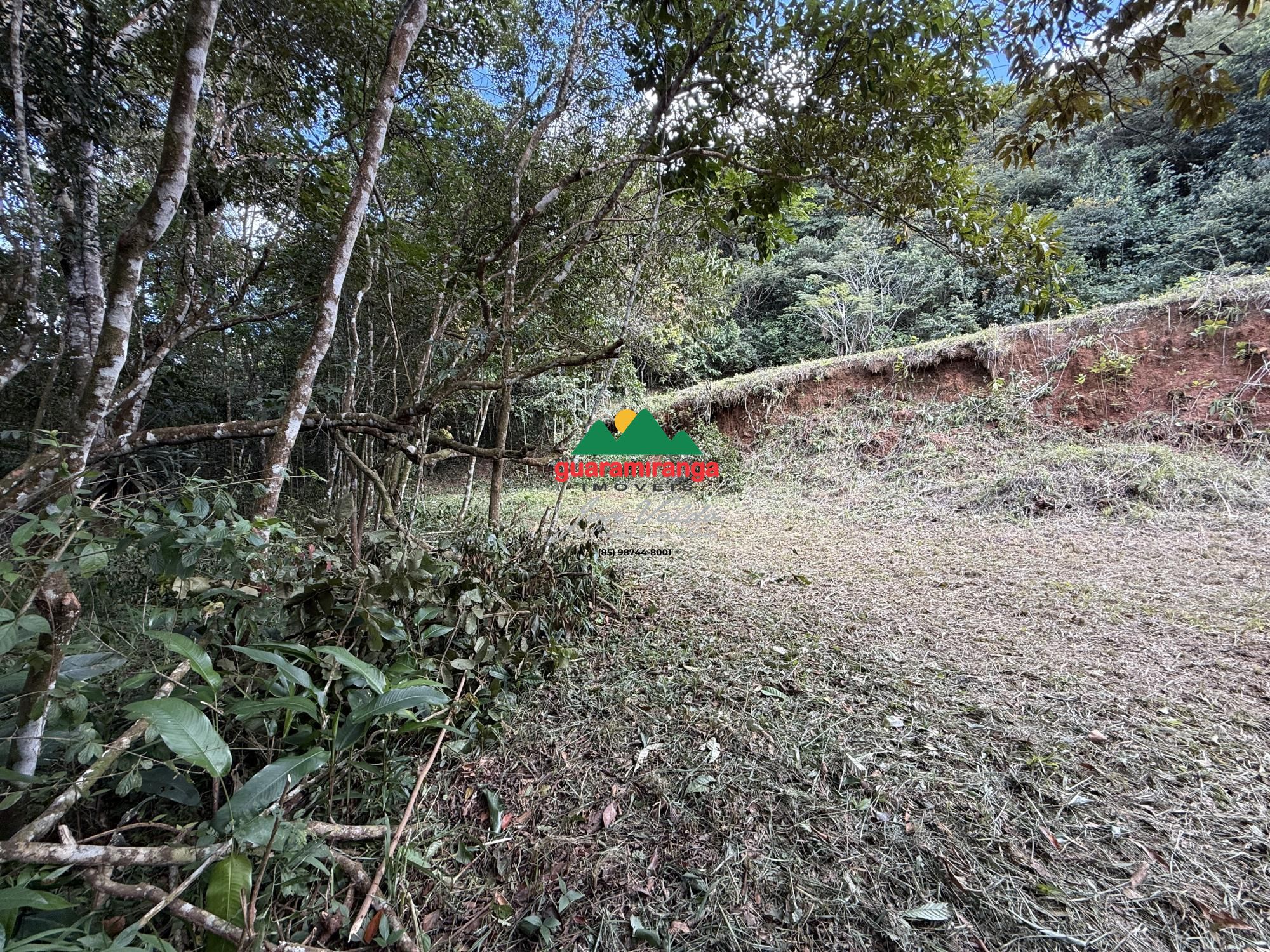 Terreno, 2 hectares - Foto 10