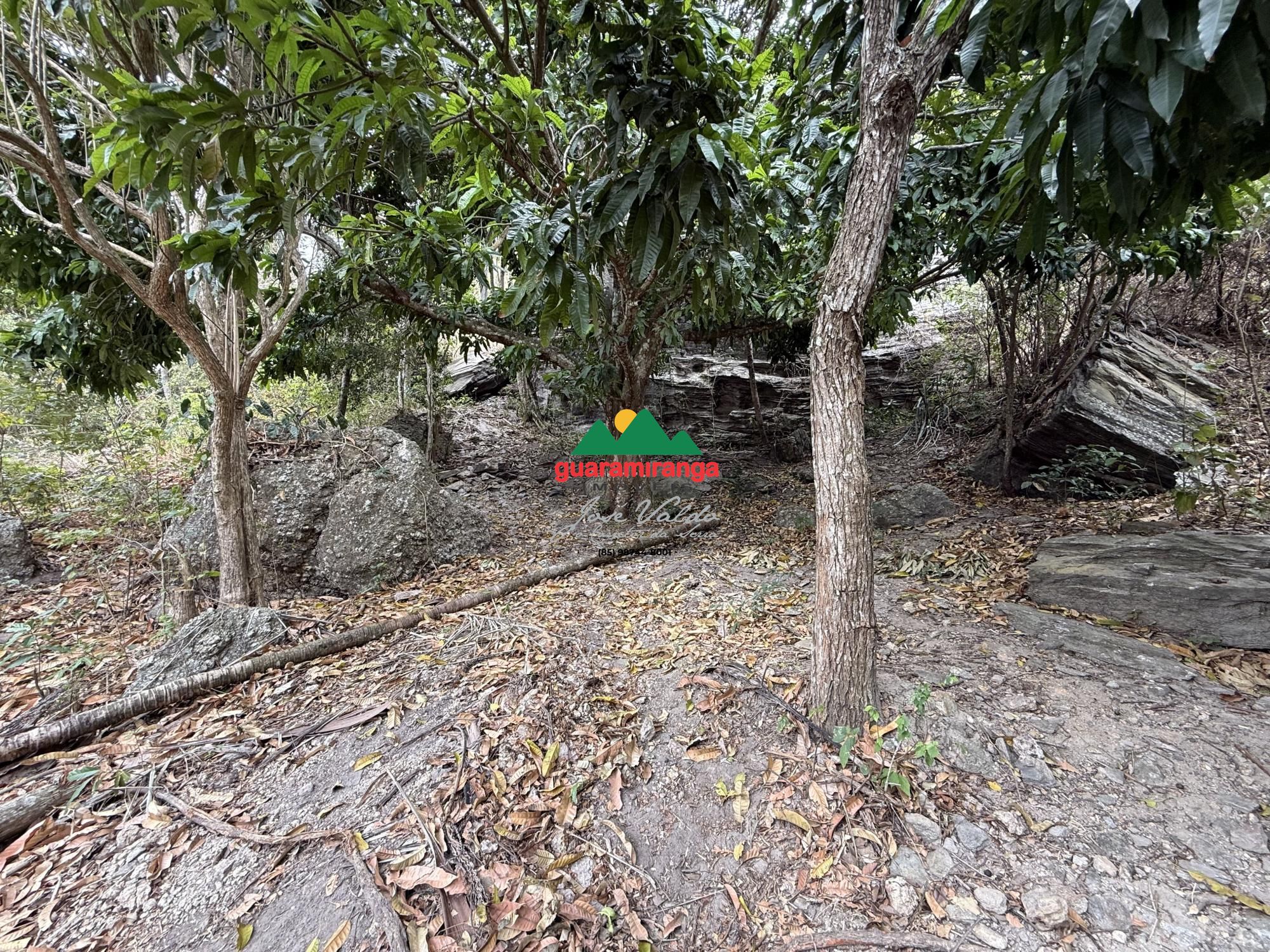 Chácara, 2 quartos, 7 hectares - Foto 11