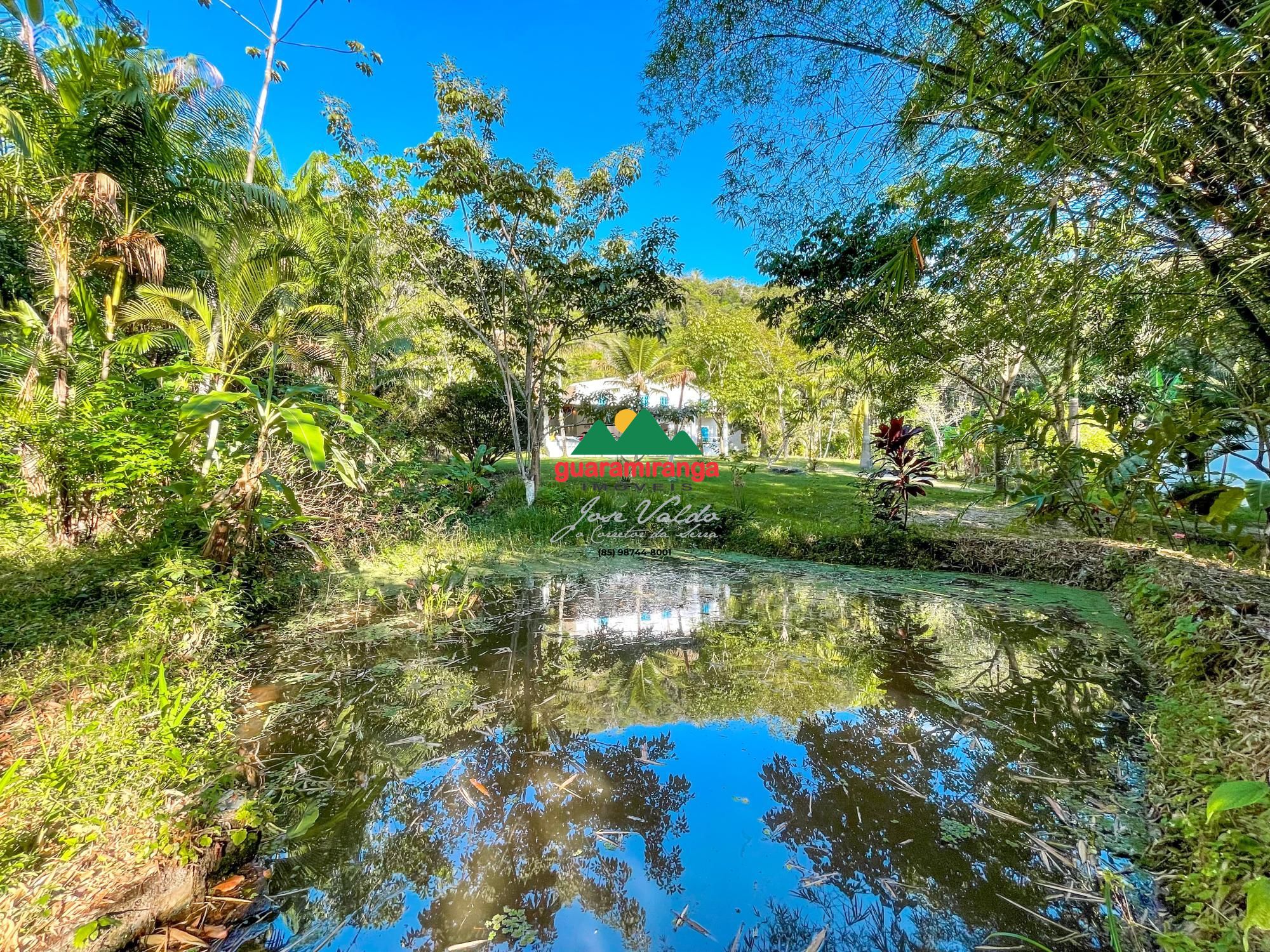 Sítio, 8 quartos, 7 hectares - Foto 14