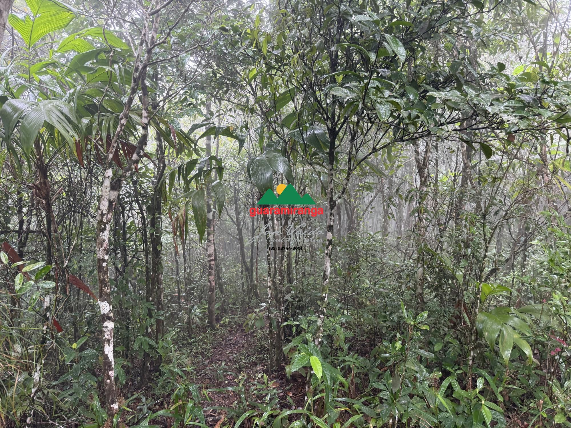 Terreno/Lote à venda, 9.271 m² por R$ 350.000,00 Terreno/Lote à venda, 9.271 m² por R$ 350.000,00