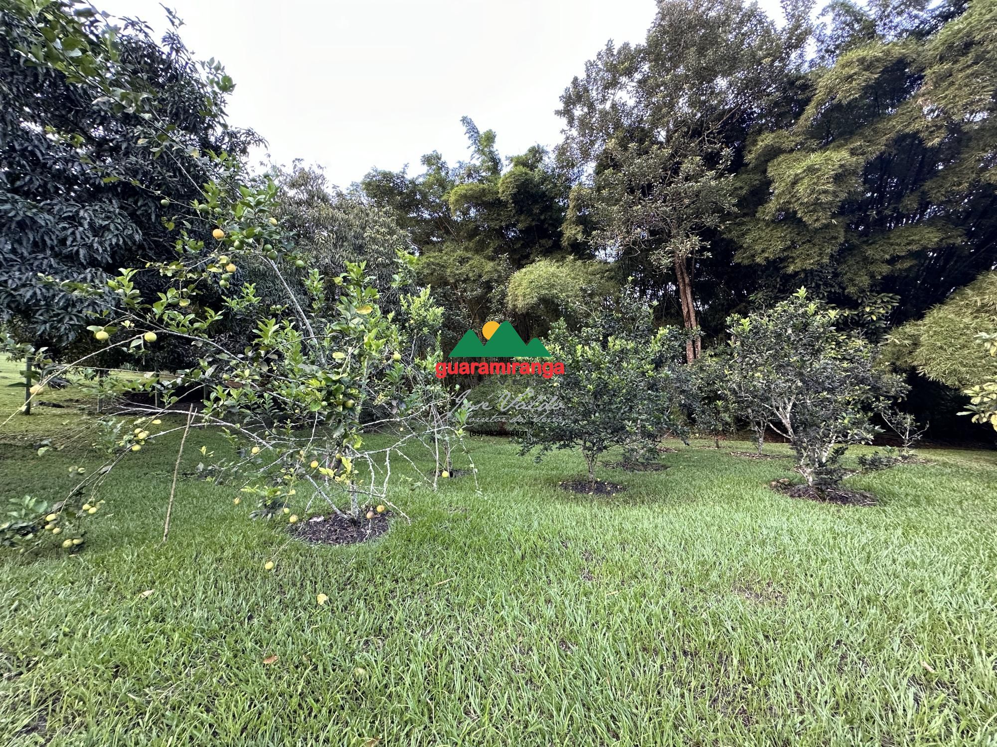 Sítio, 6 quartos, 3 hectares - Foto 101