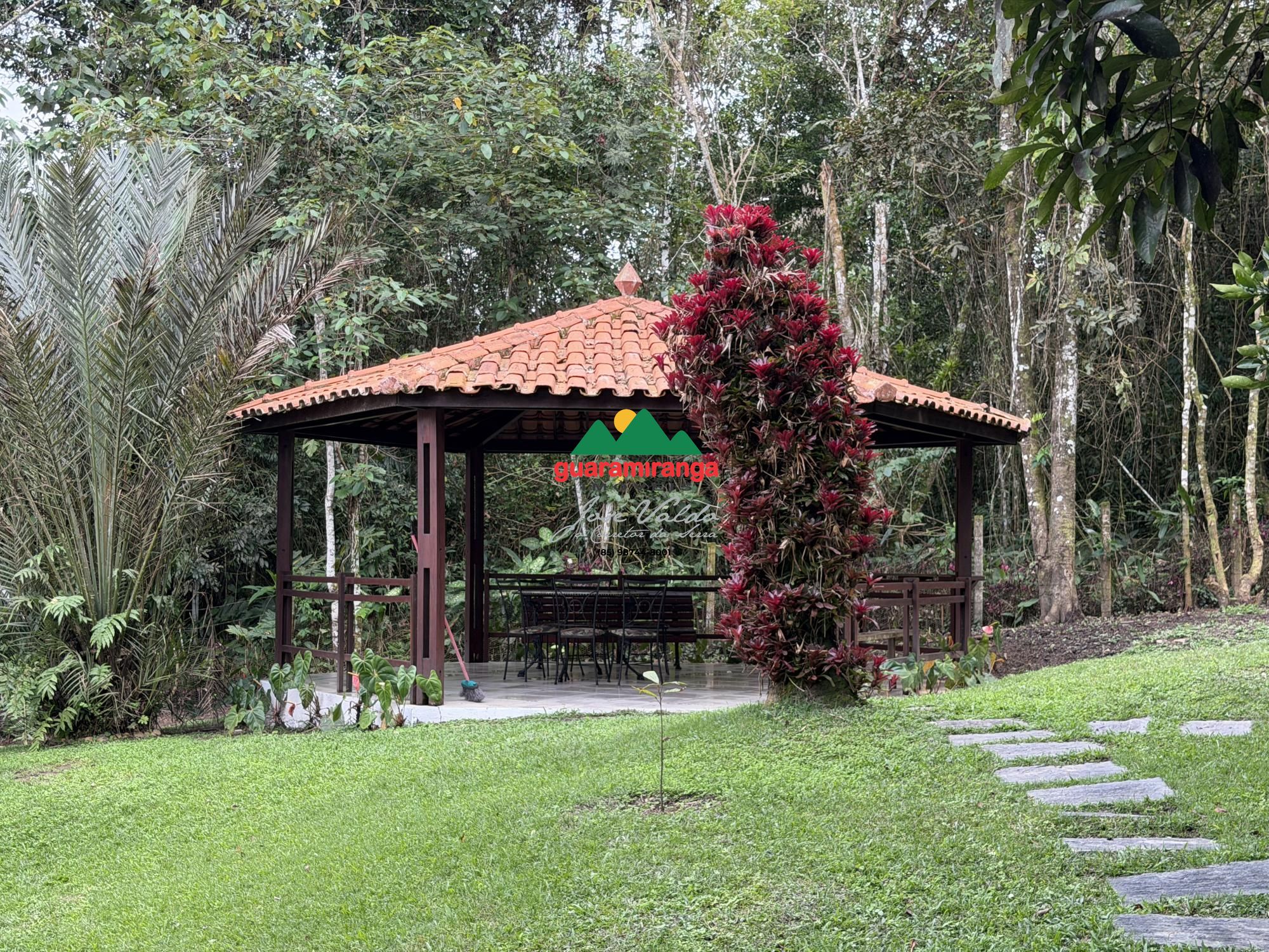 Chácara, 8 quartos, 4 hectares - Foto 20