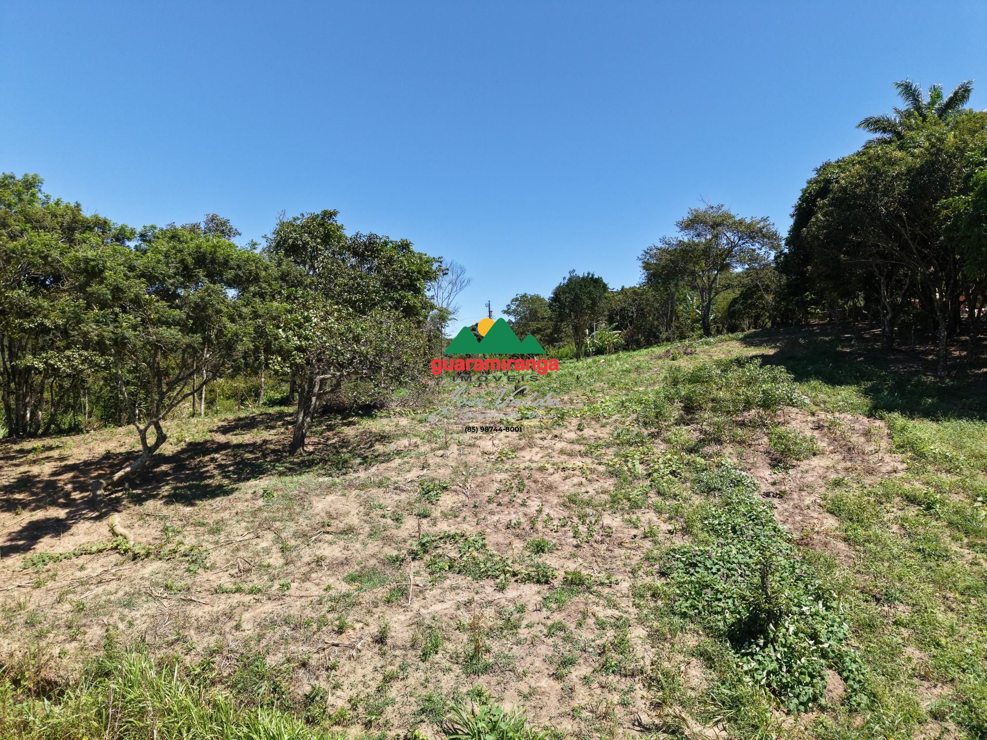 Sítio, 3 quartos, 18 hectares - Foto 12