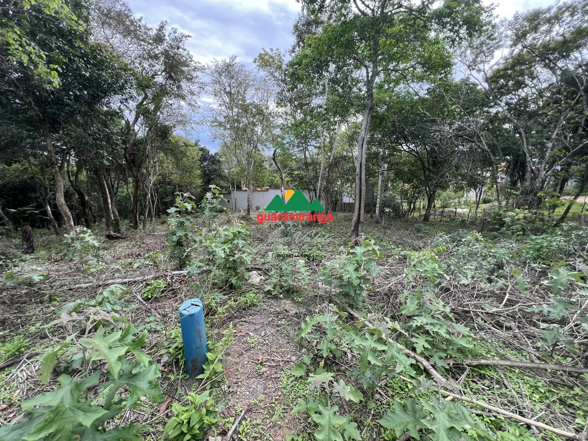 Terreno/Lote à venda  no Mulungu - Mulungu, CE. Imóveis