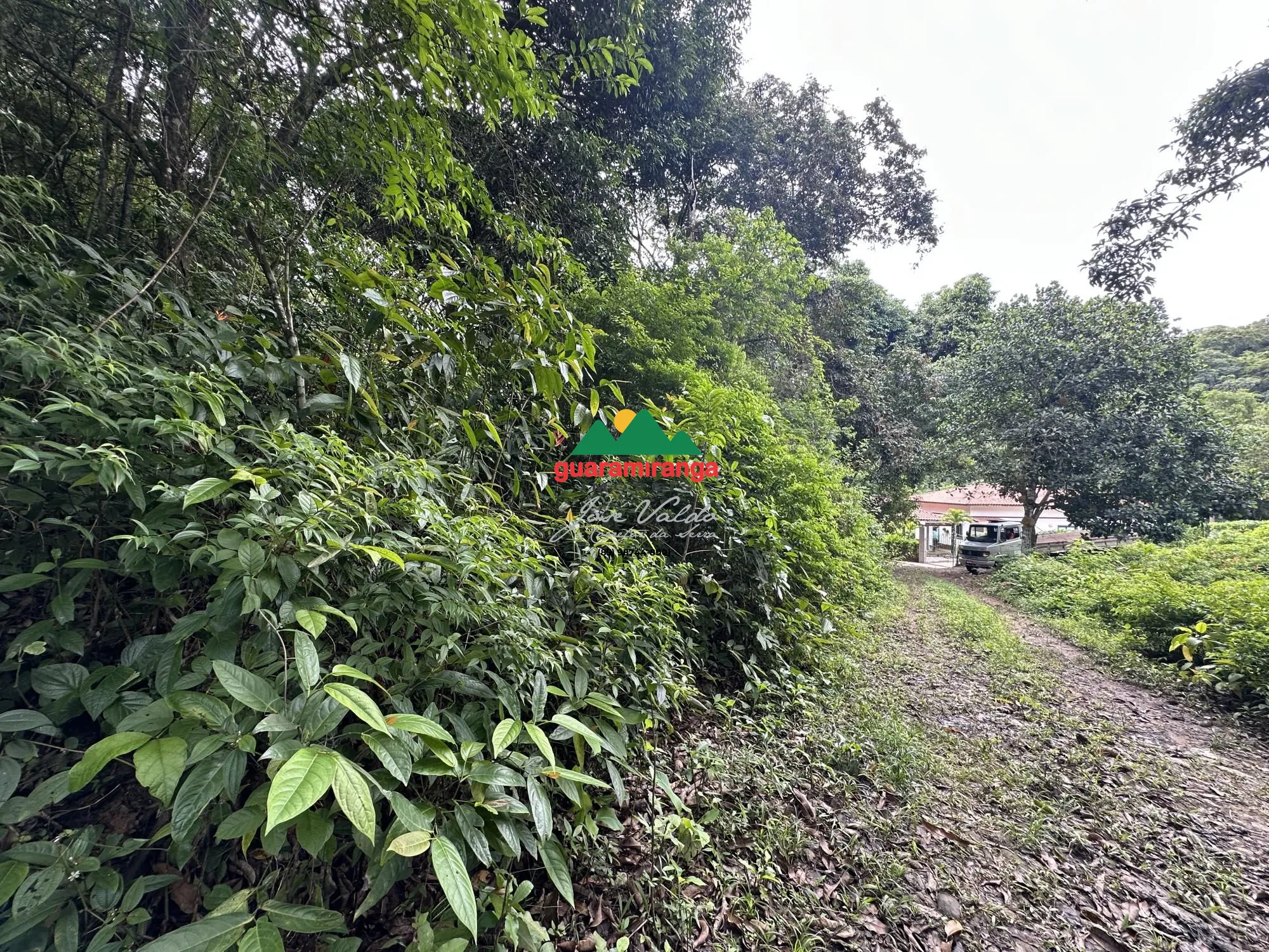 Terreno/Lote à venda  no Santa Ana - Pacoti, CE. Imóveis
