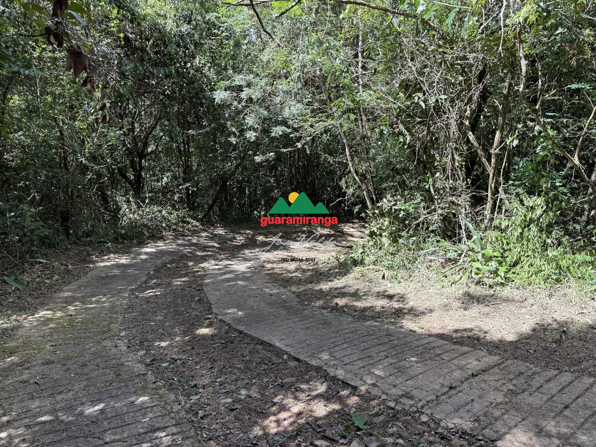 Terreno, 2 hectares - Foto 4