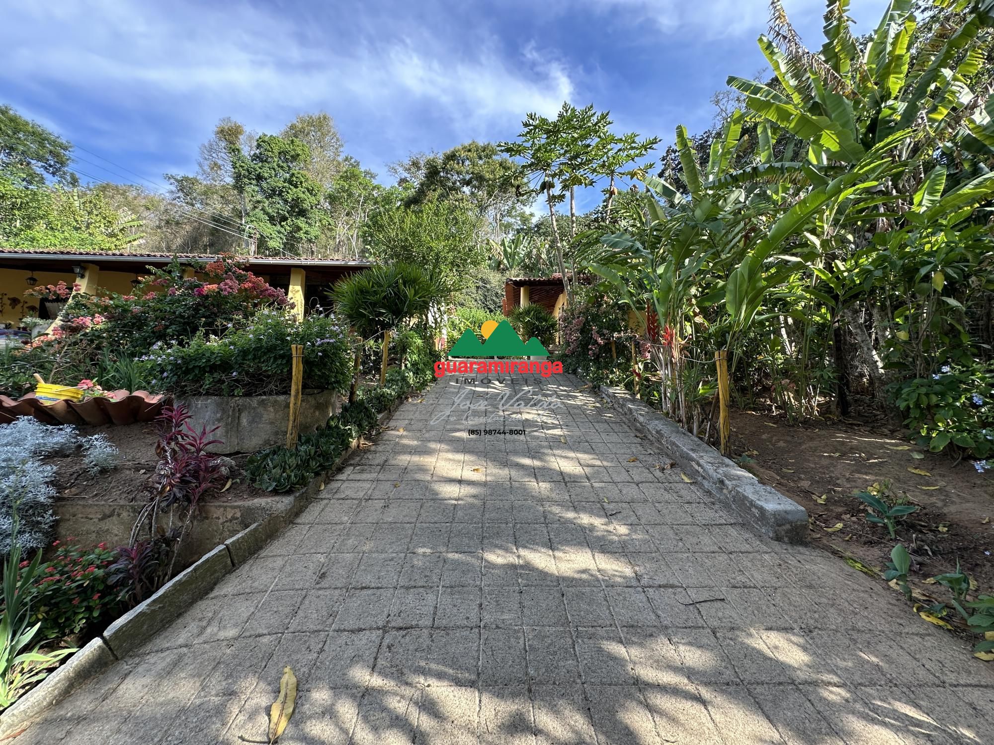 Sítio, 4 quartos, 3 hectares - Foto 13