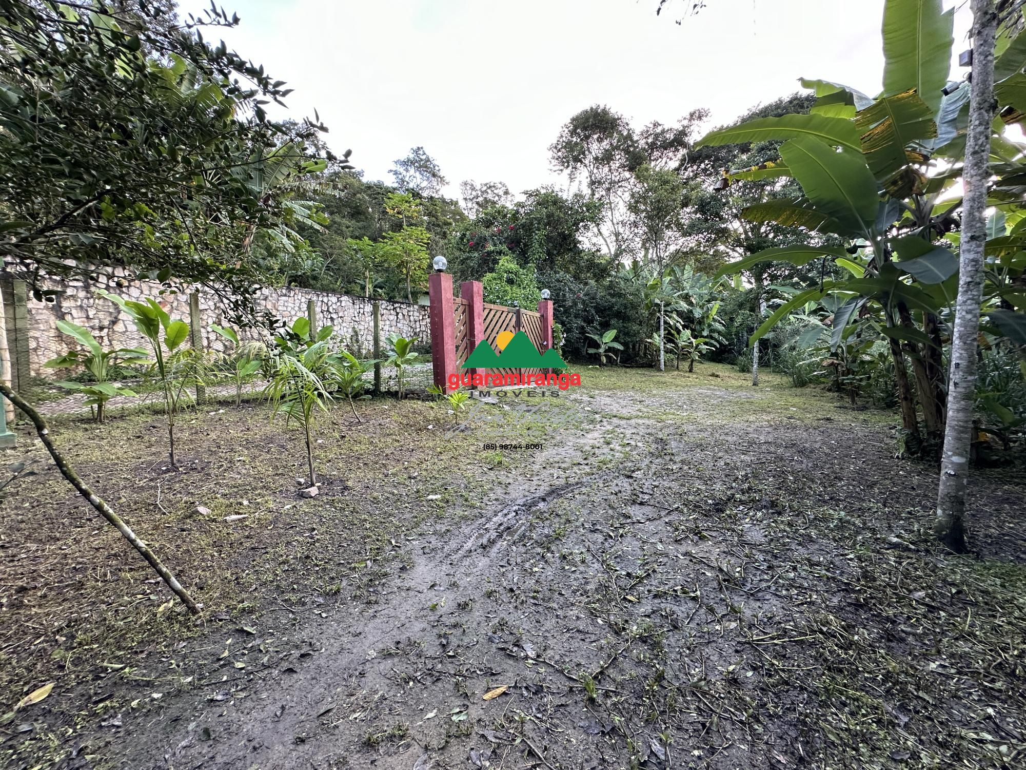Sítio, 6 quartos, 3 hectares - Foto 116