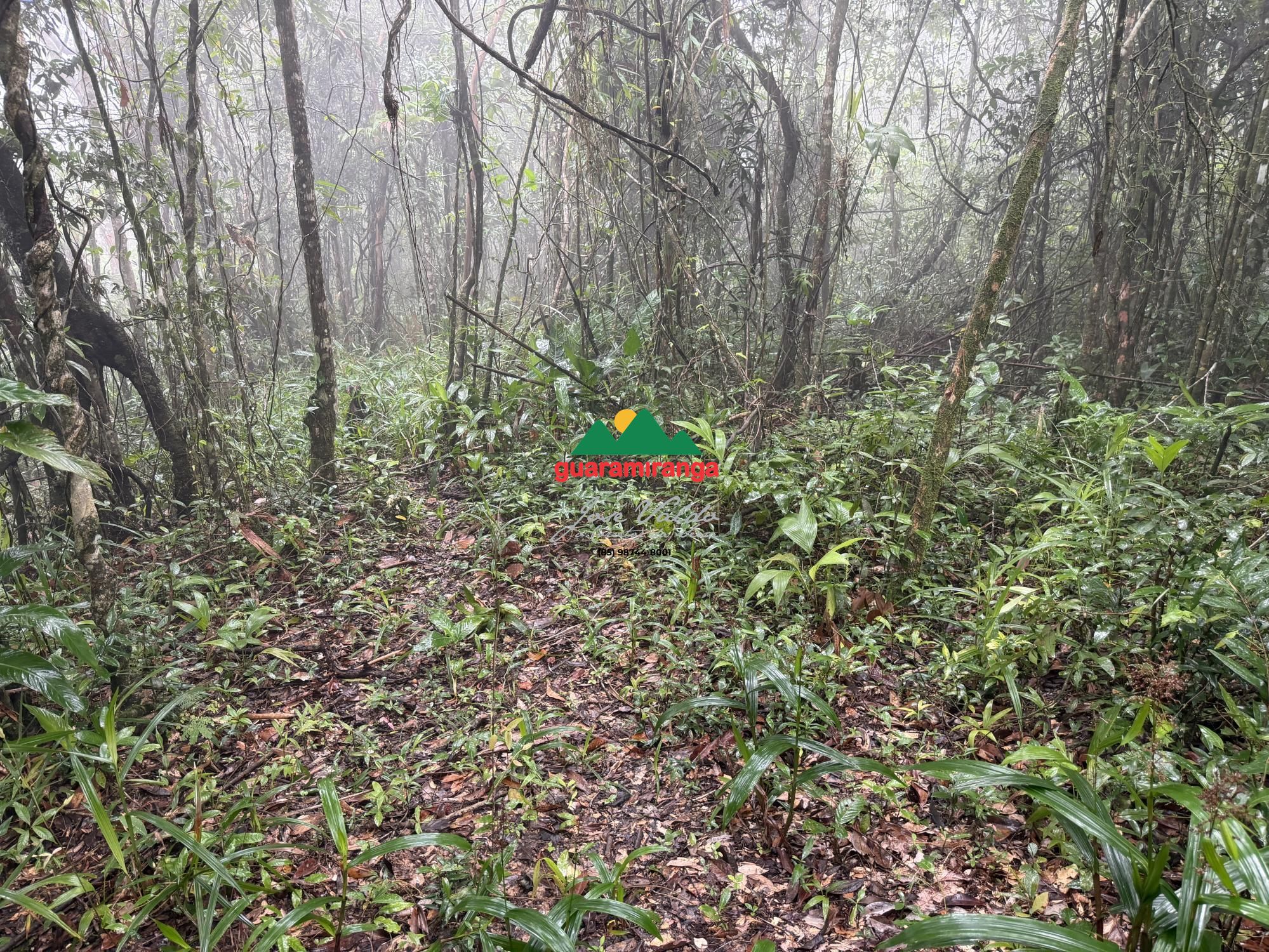 Terreno/Lote à venda, 9.271 m² por R$ 350.000,00 Terreno/Lote à venda, 9.271 m² por R$ 350.000,00