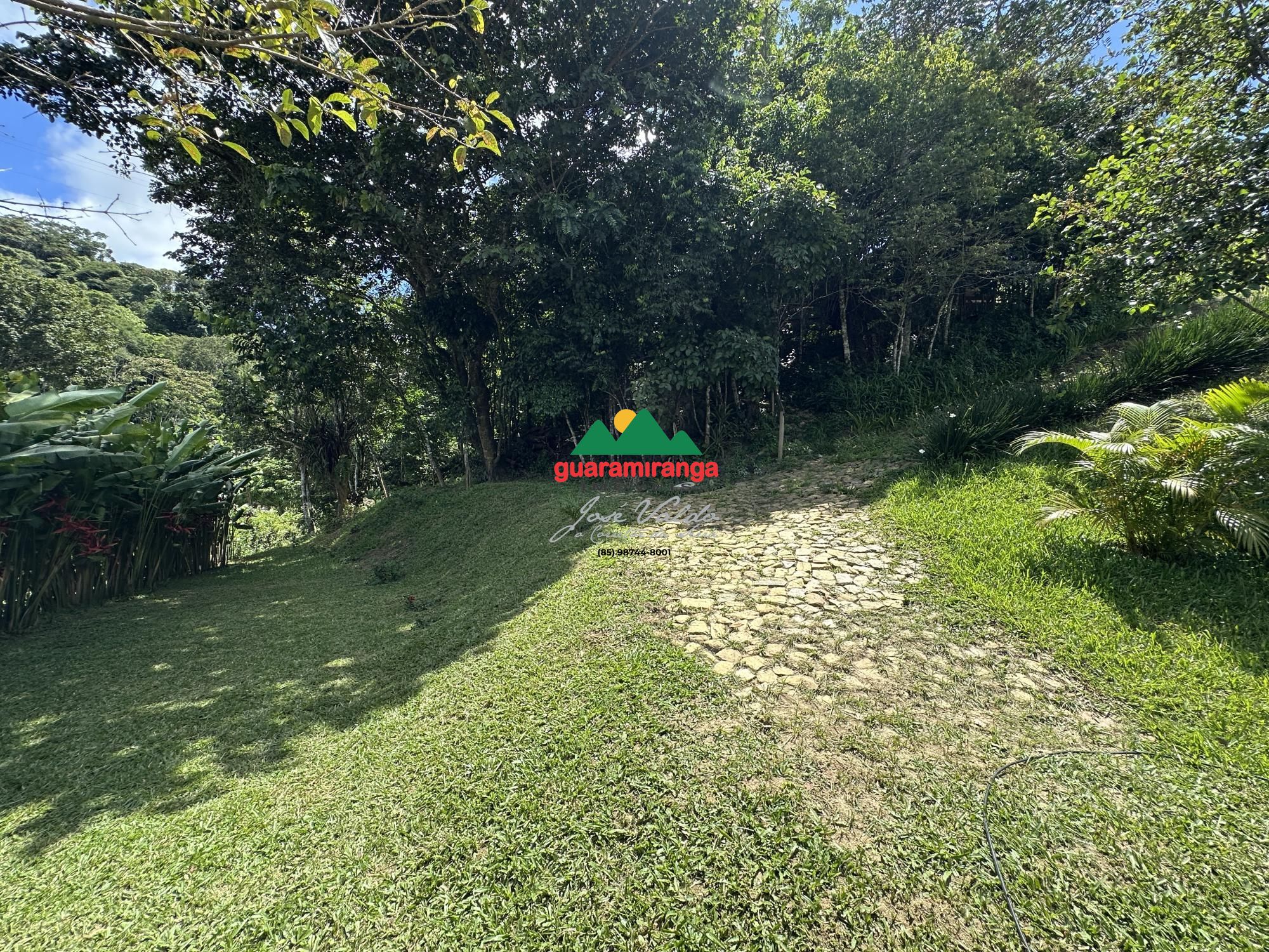 Chácara, 4 quartos, 6000 m² - Foto 43