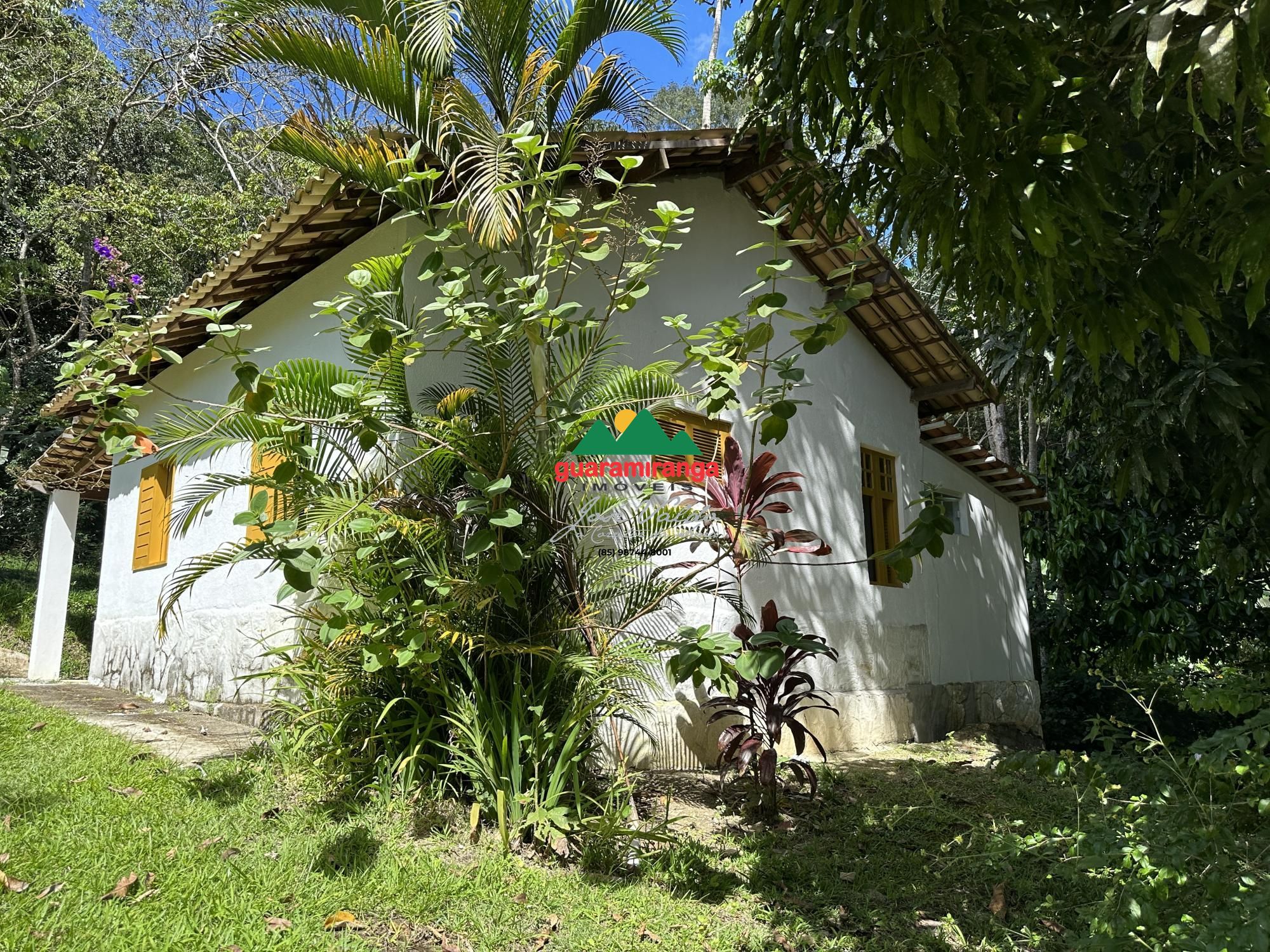 Sítio, 8 quartos, 7 hectares - Foto 42