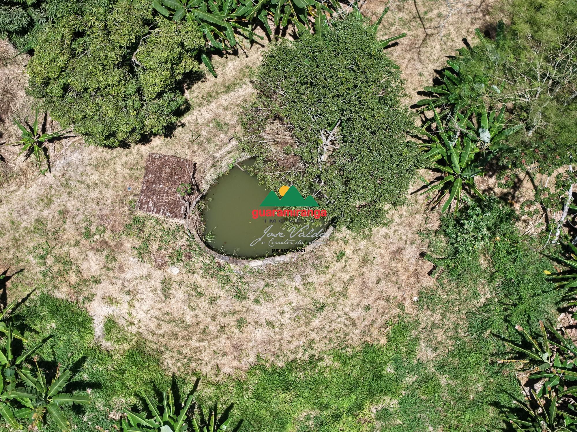 Sítio, 3 quartos, 18 hectares - Foto 30
