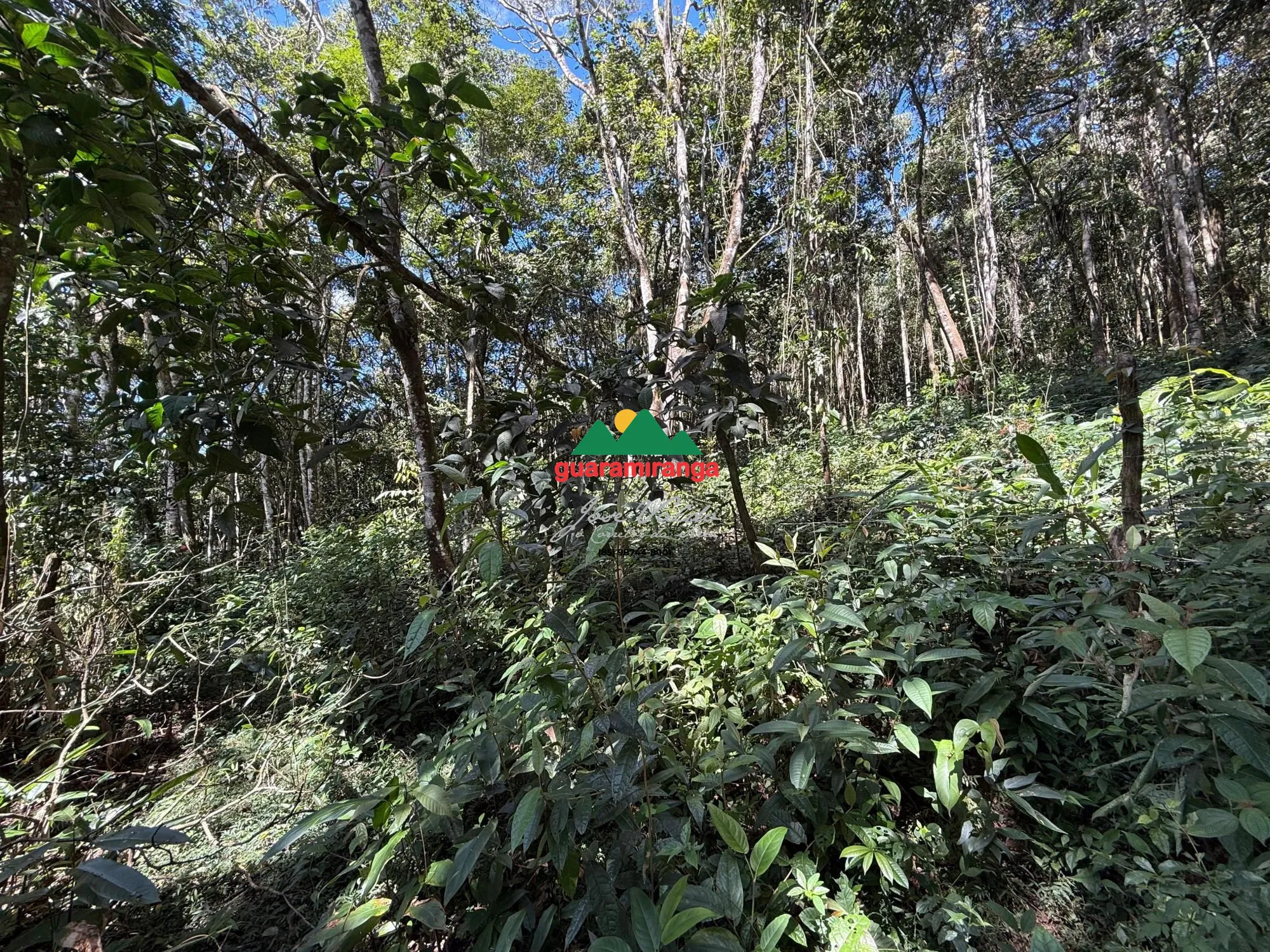 Terreno/Lote à venda  no Zona Rural - Guaramiranga, CE. Imóveis