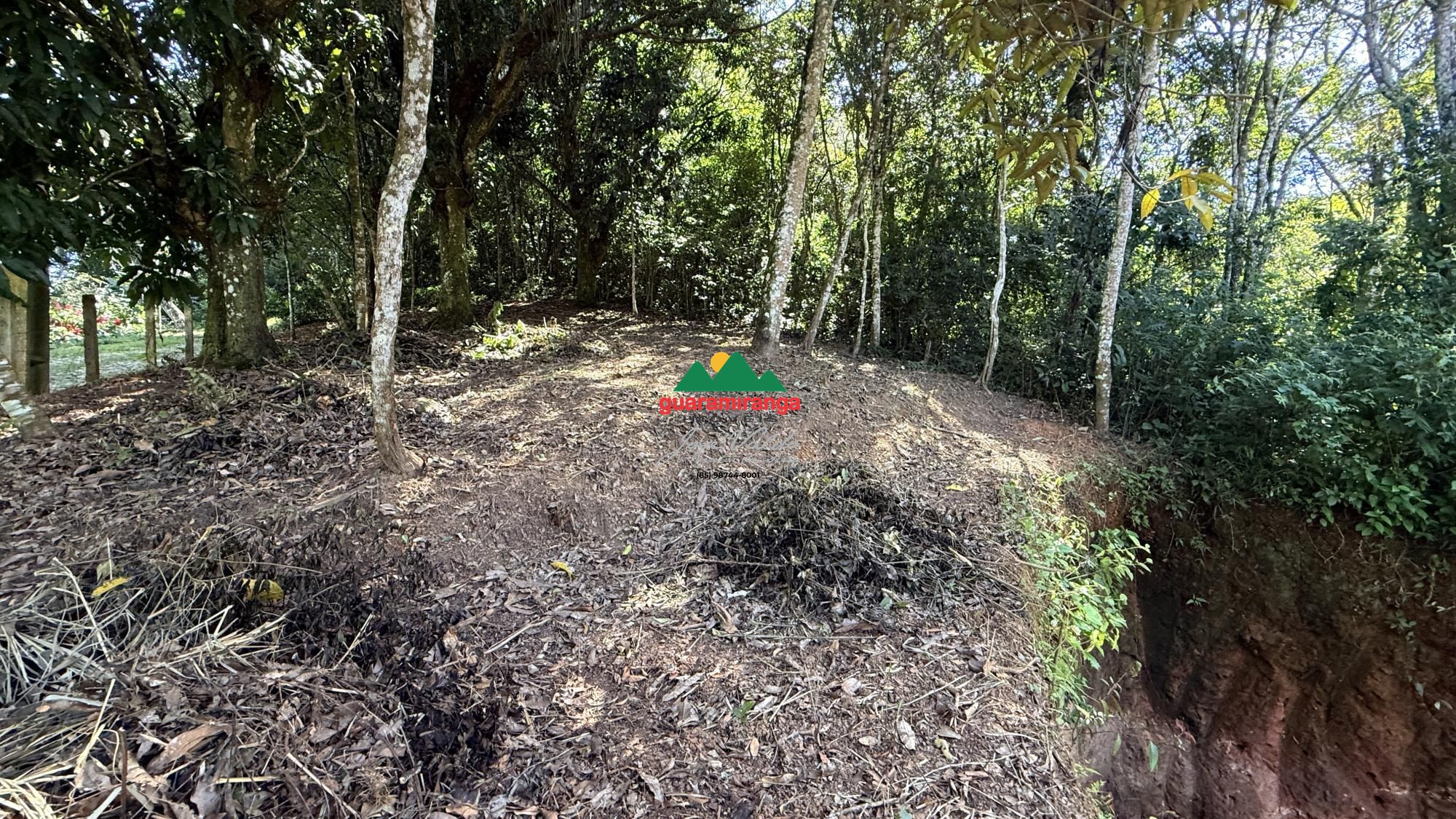 338,97 m² de tranquilidade, natureza e qualidade de vida, em