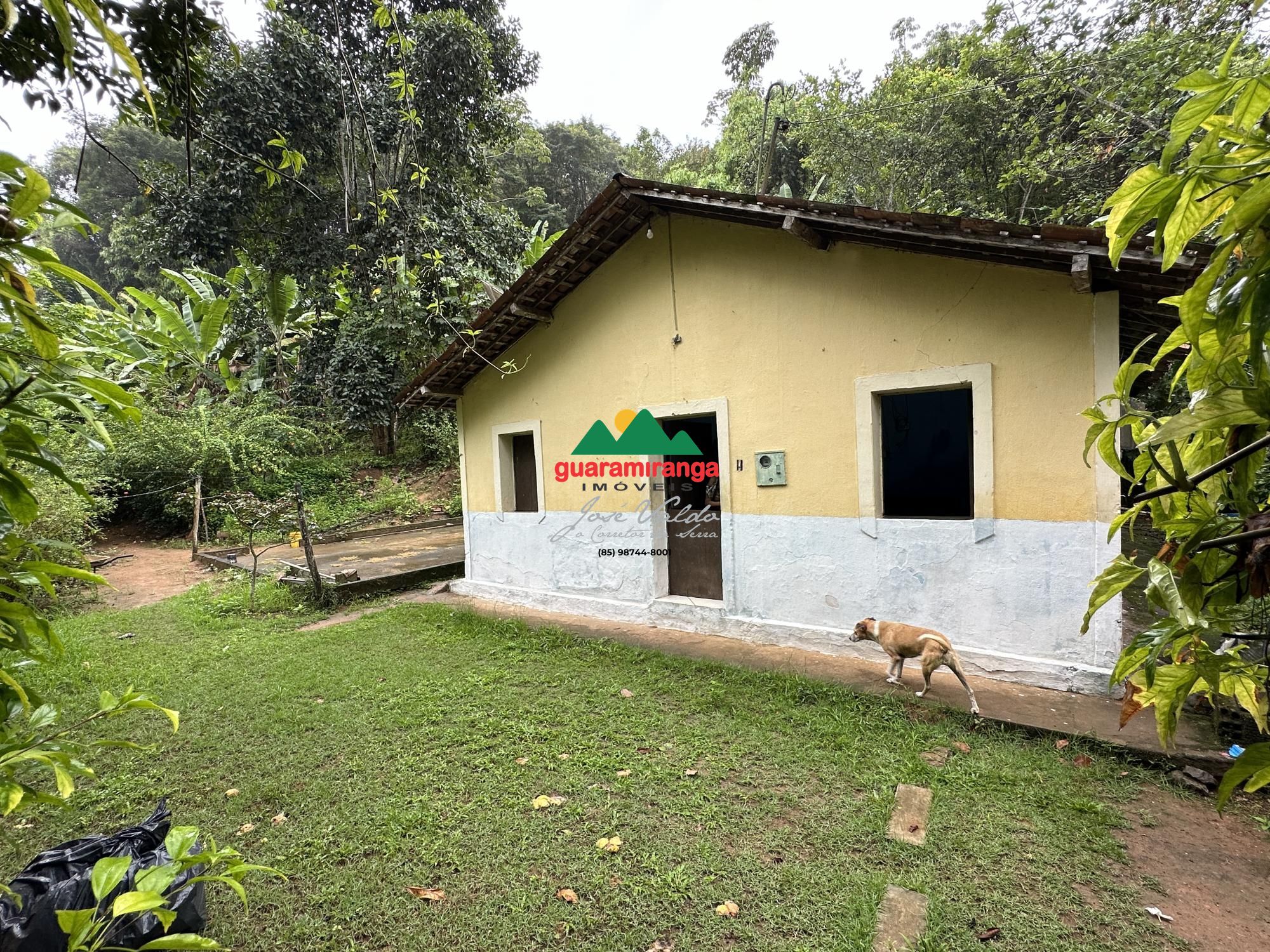 Chácara, 4 quartos, 8 hectares - Foto 47