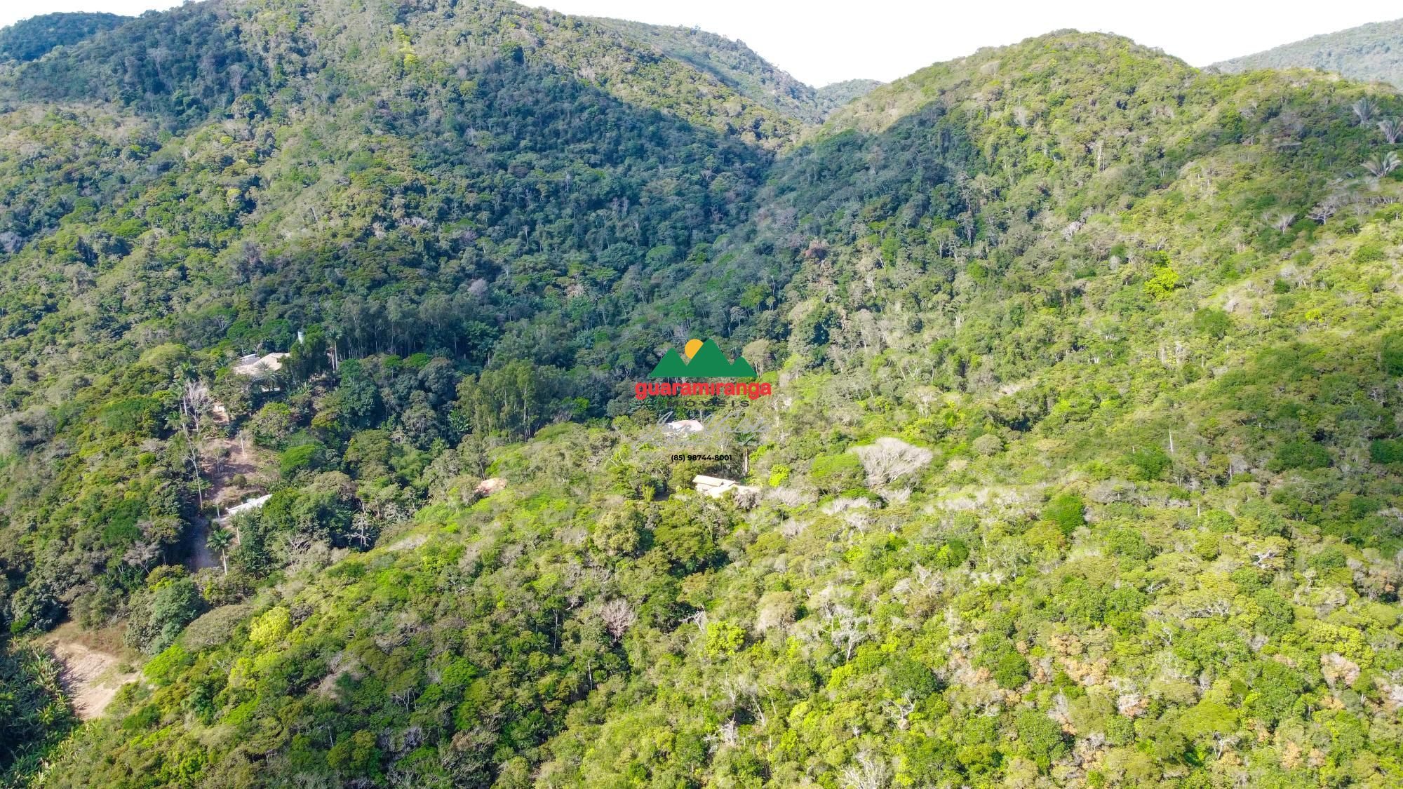Sítio, 8 quartos, 7 hectares - Foto 6